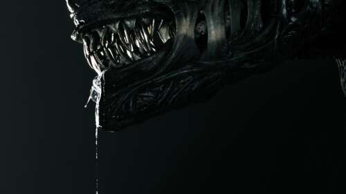 Xenomorph from Alien: Romulus