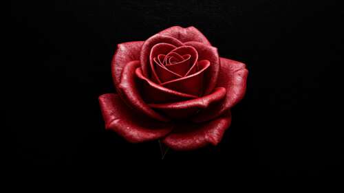 Crimson Elegance: Symmetrical Red Rose