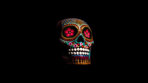 Vibrant Multicolored Skull on Black Background
