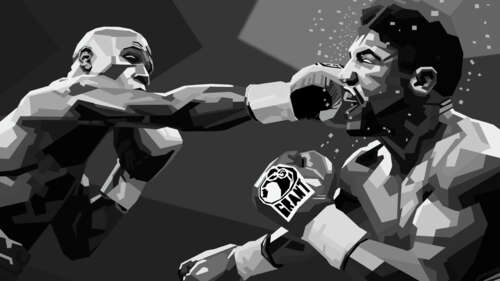 Dynamic Low Poly Boxer