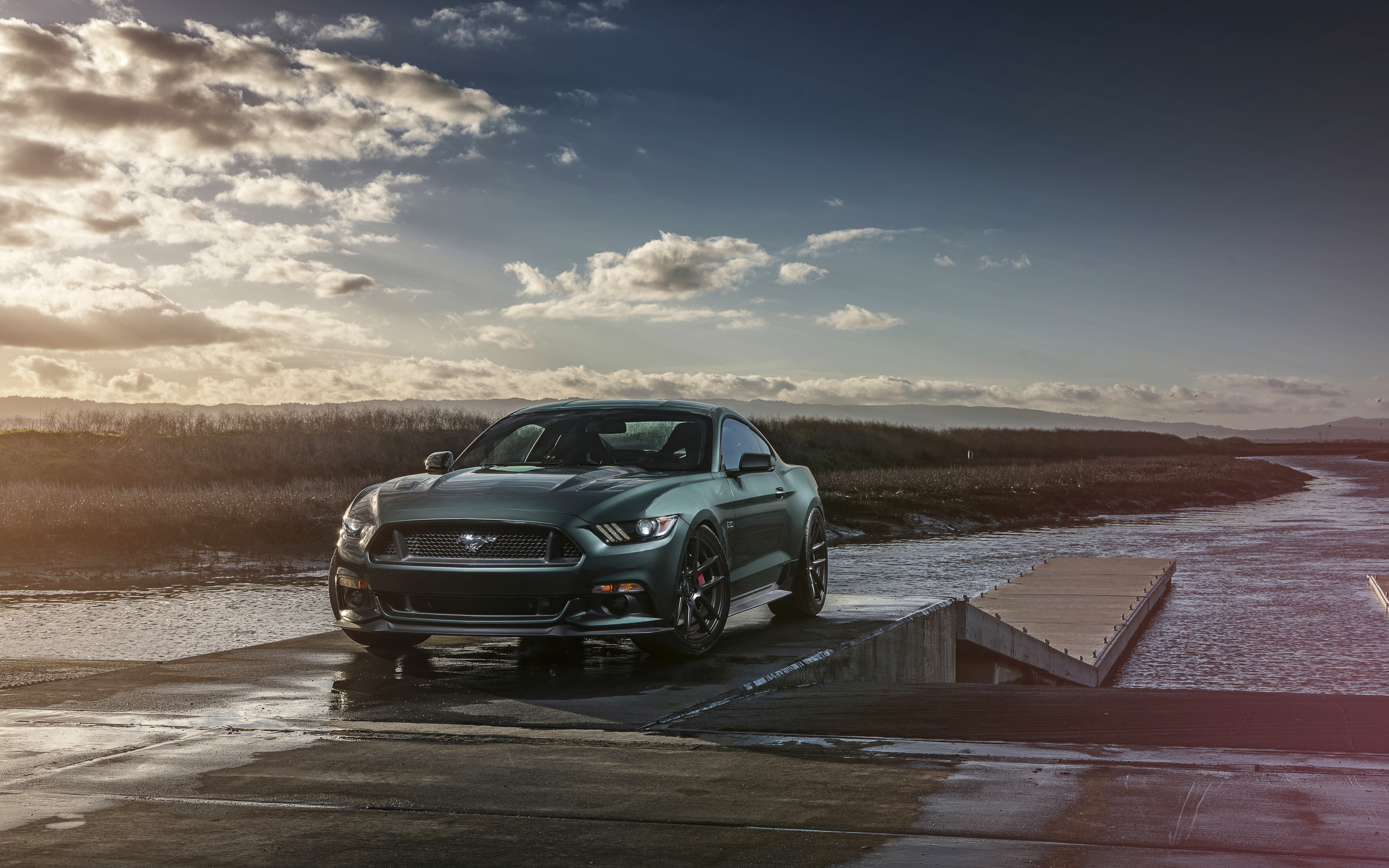 A powerful and sleek Ford Mustang GT muscle car showcasing its classic automotive design.