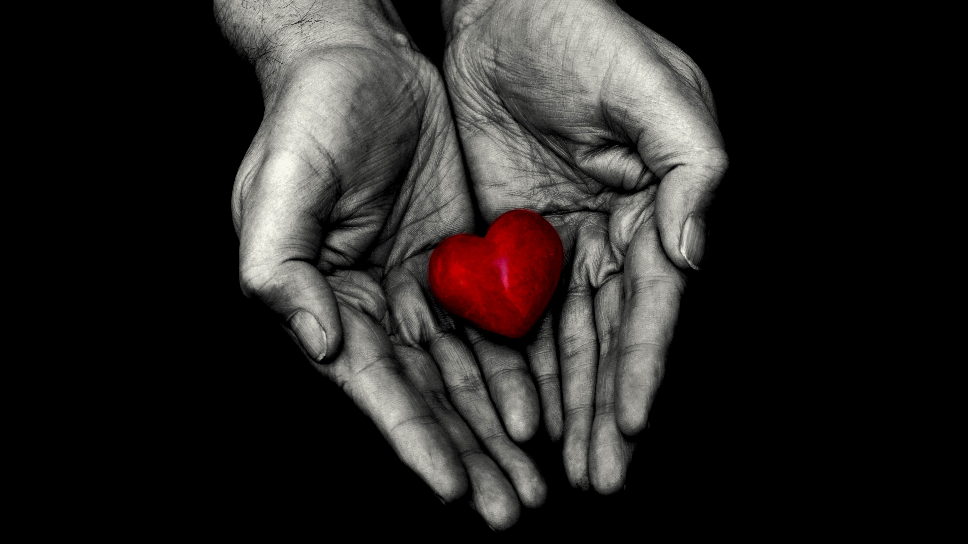 Two hands tenderly cradling a bright red heart against a dark black background.