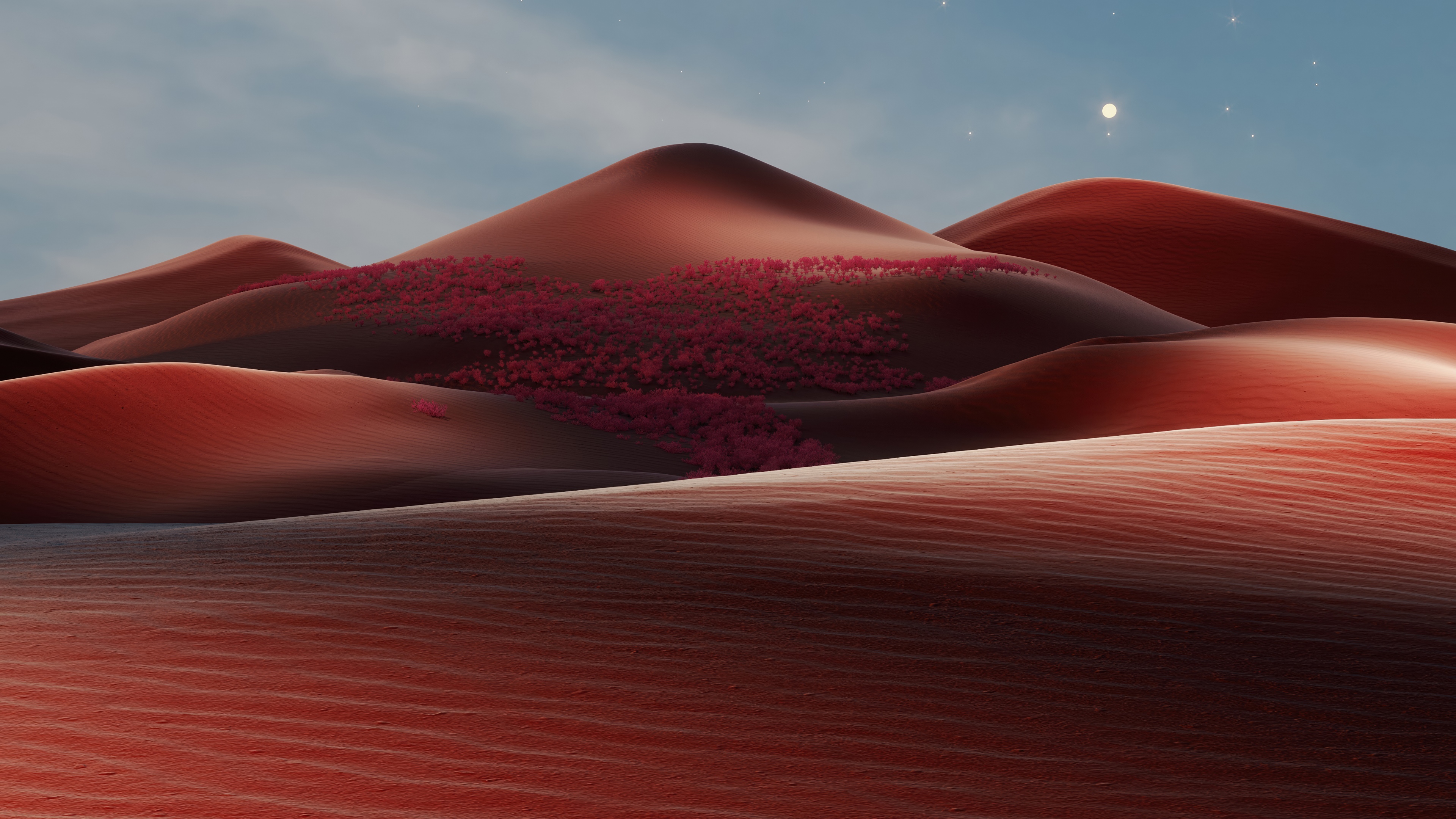 A serene landscape featuring deep red sand dunes under a warm, dreamlike light.