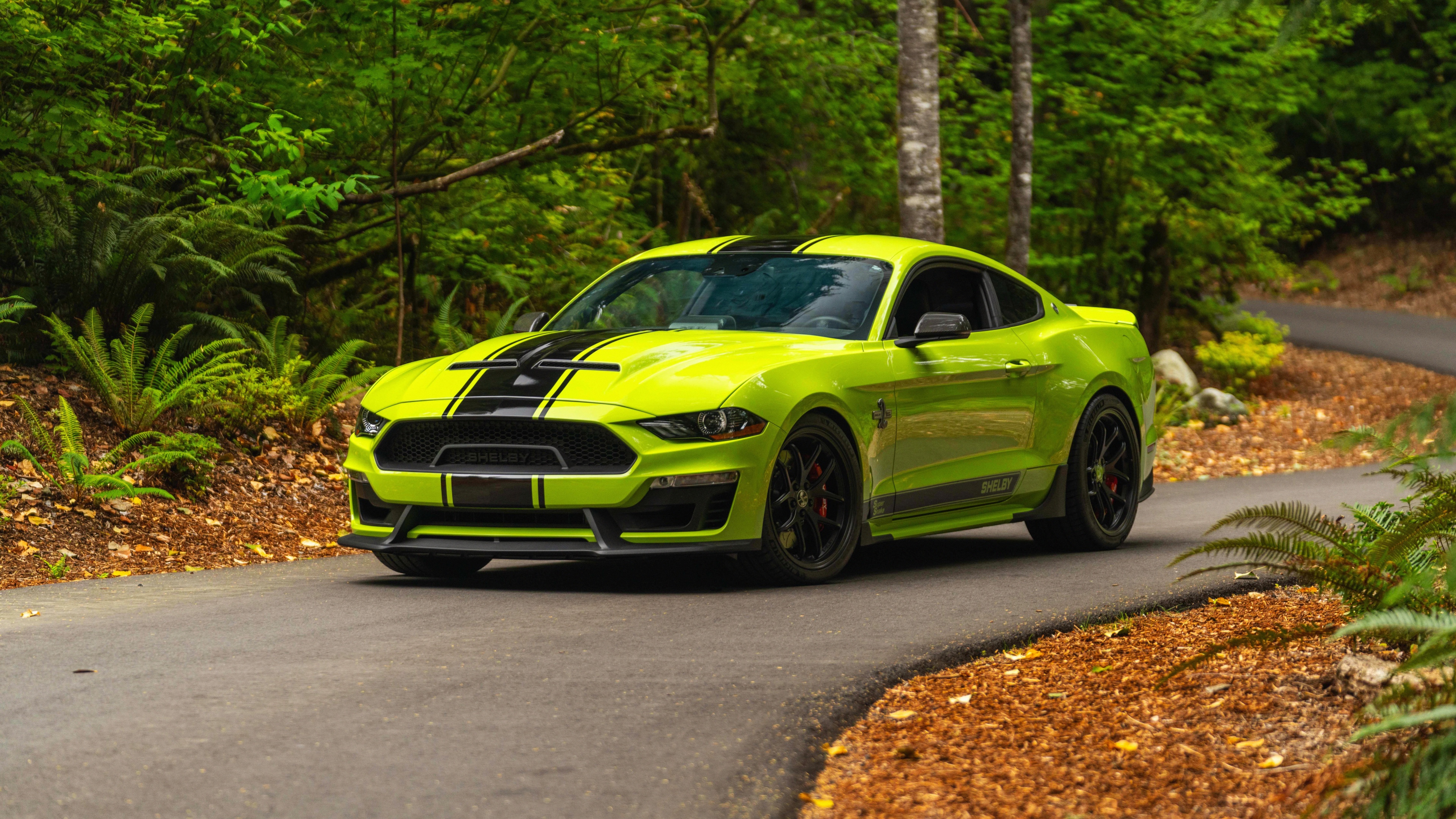A high-resolution, detailed view of a Ford Mustang sports car.