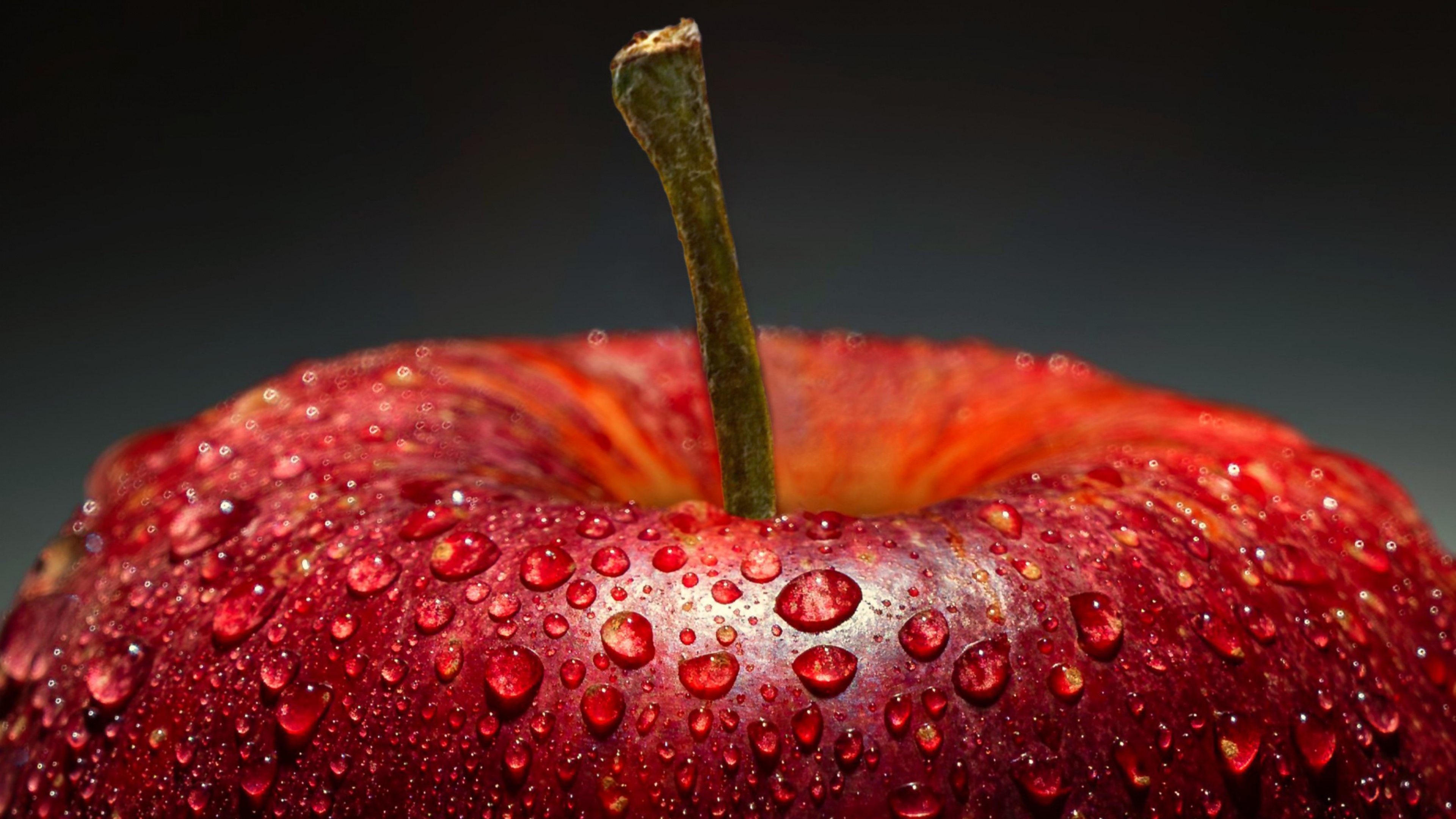 Extreme closeup of a red apple covered in glistening water droplets.