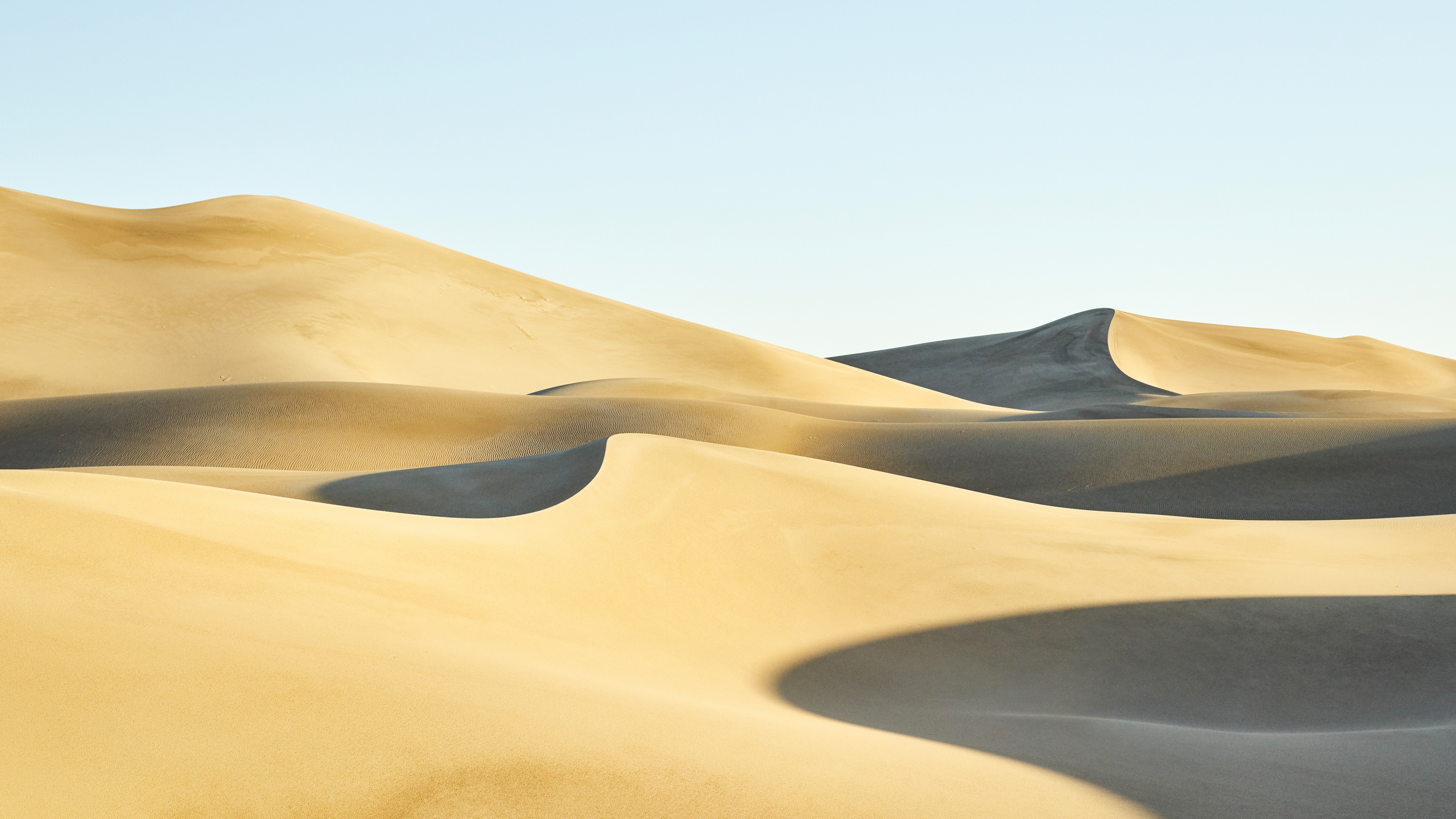 A high-resolution wide shot of golden sand dunes with intricate wind-swept patterns under bright sunlight.