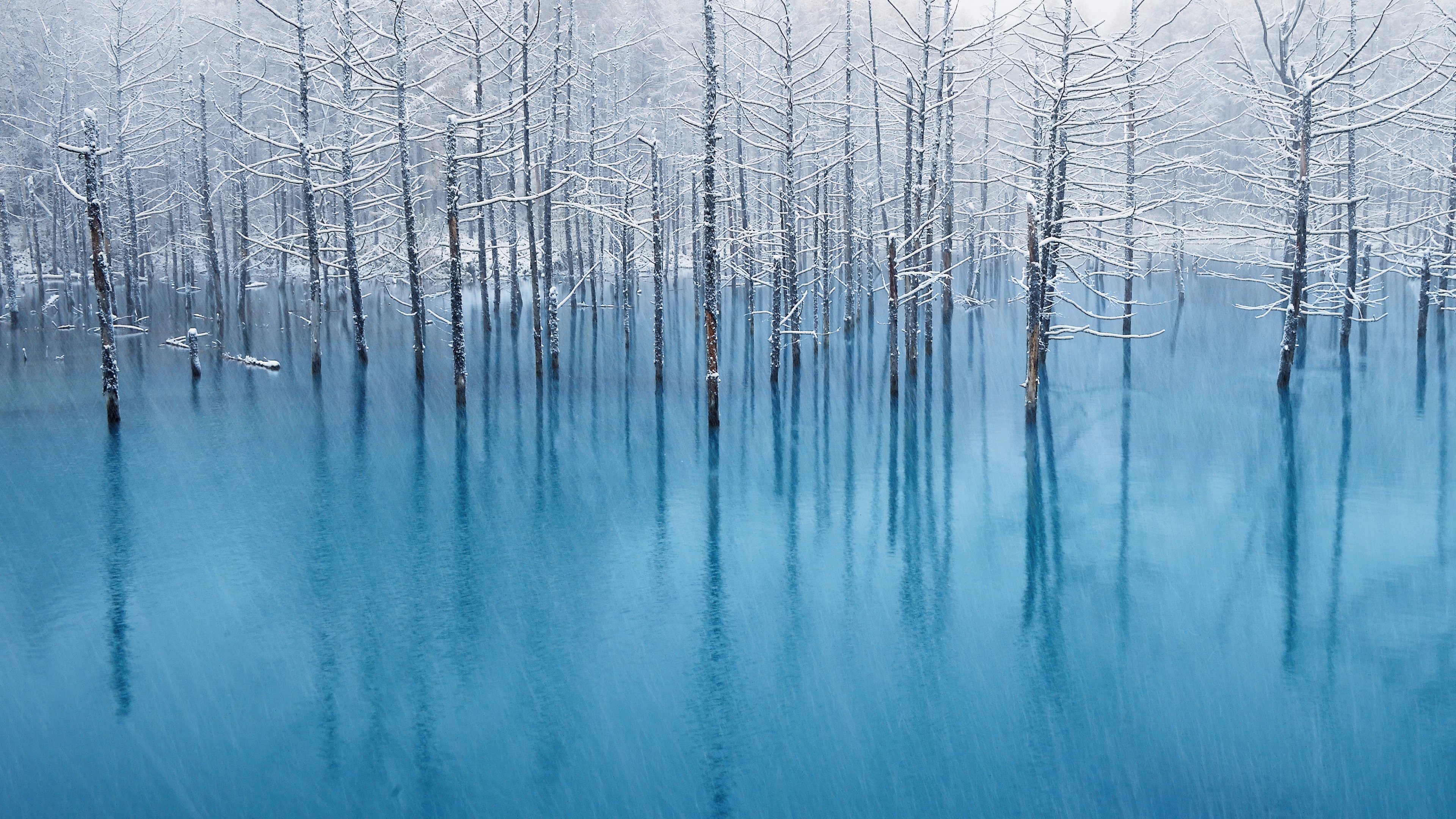 A serene winter landscape with frozen, snow-covered trees and crystalline reflections in a blue color palette.