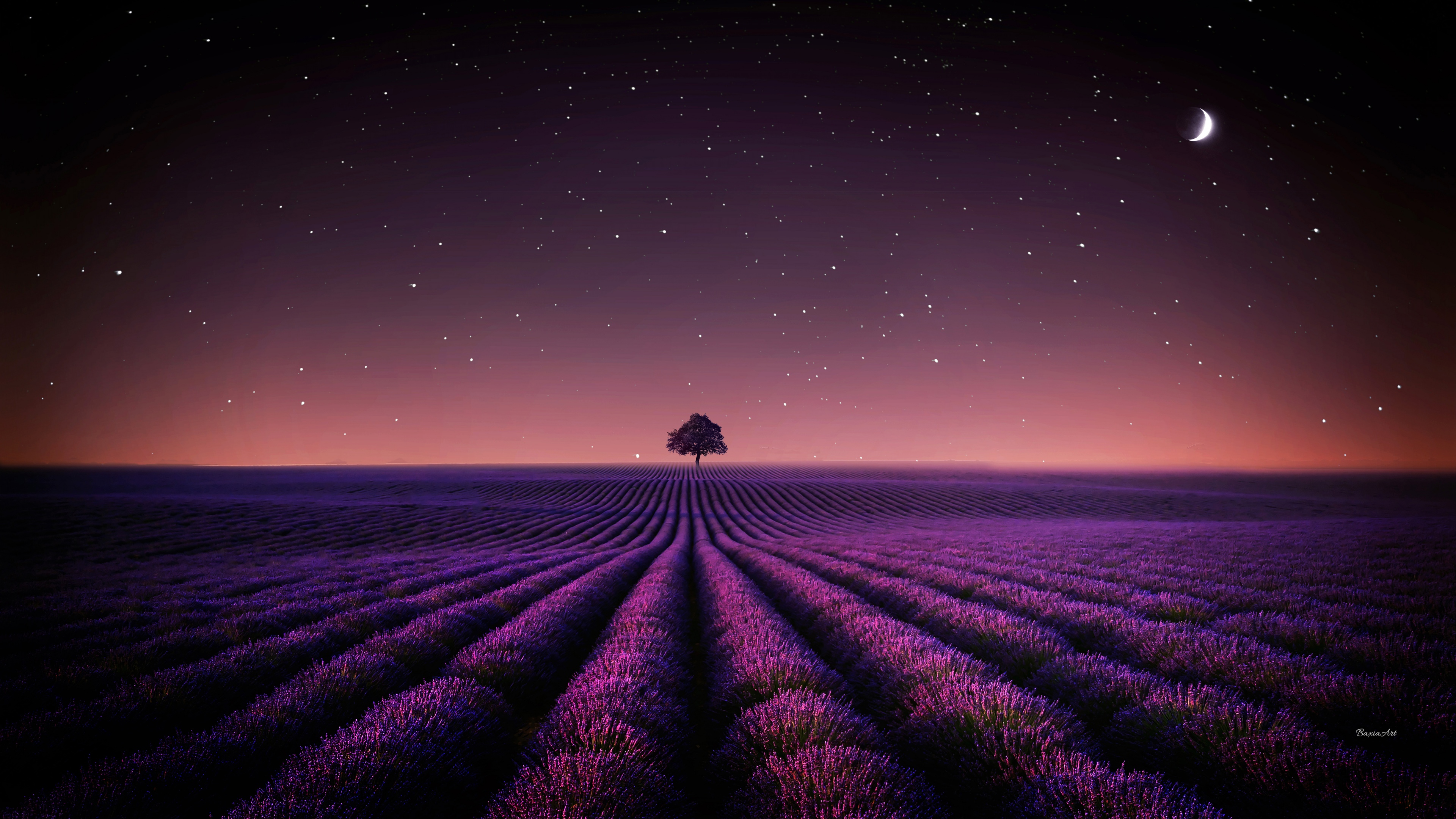 A serene landscape of purple lavender fields under a starry night sky with a crescent moon and a lone tree silhouetted against the horizon.
