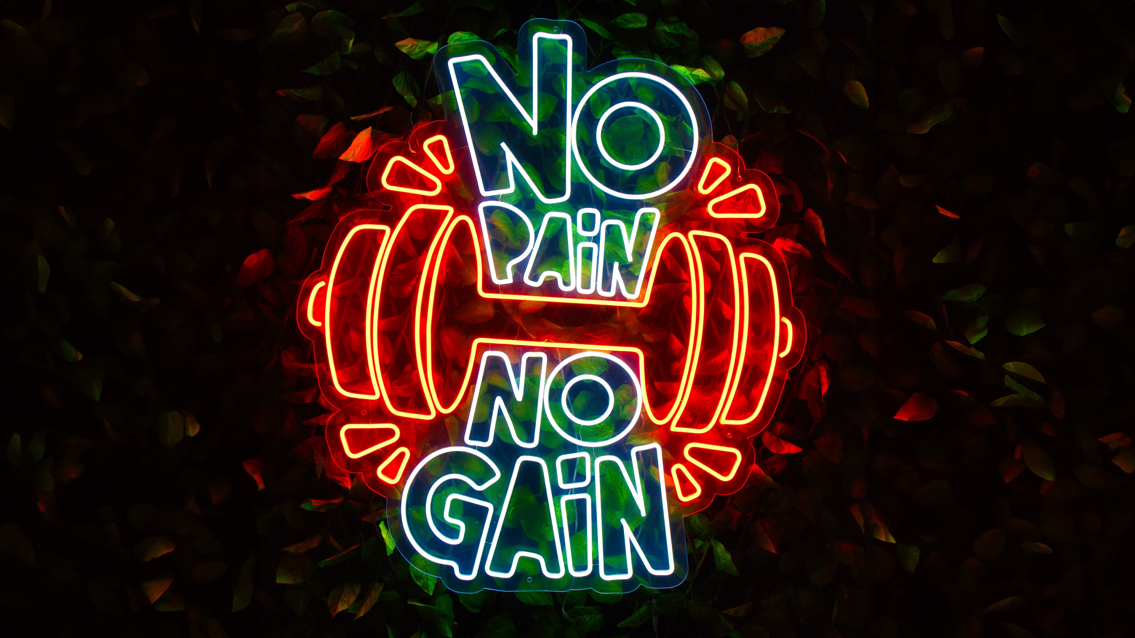 Glowing neon sign with 'No pain No gain' text set against a dark, moody weightlifting gym background.