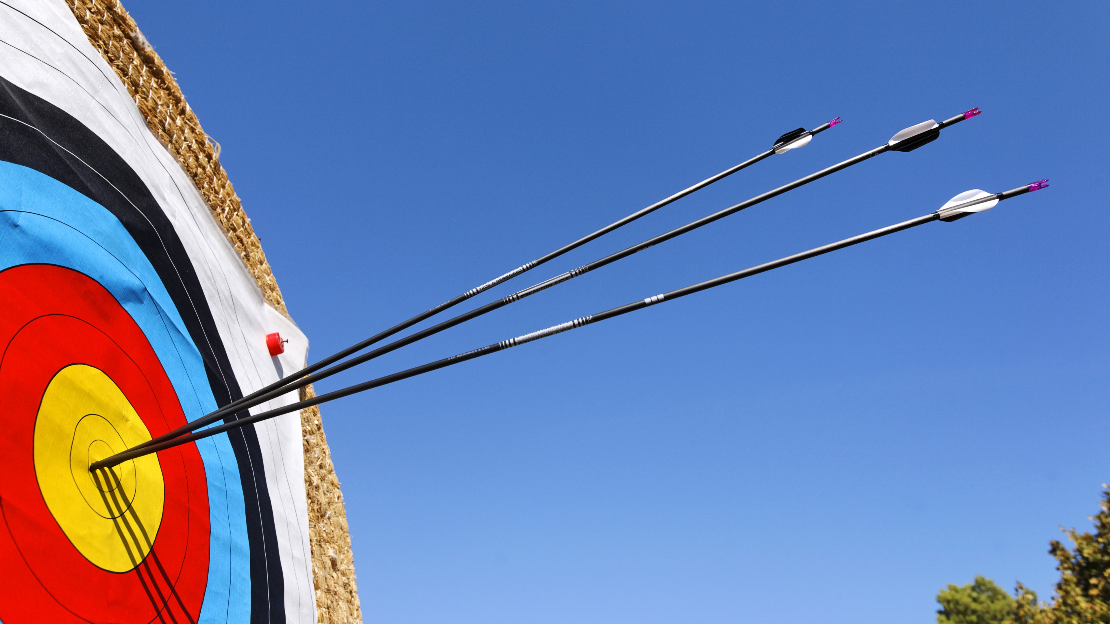 Close-up of arrows hitting the bullseye of an archery target