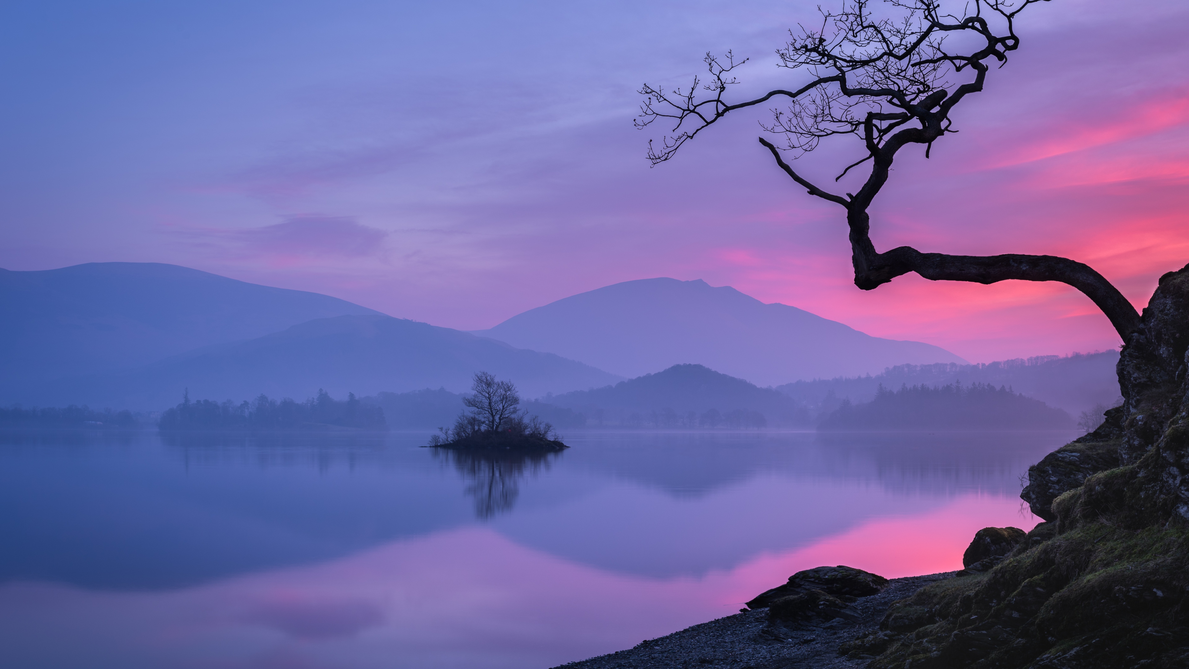 A silhouette of a lone tree reflecting in a calm lake at sunset with misty mountains in the background.