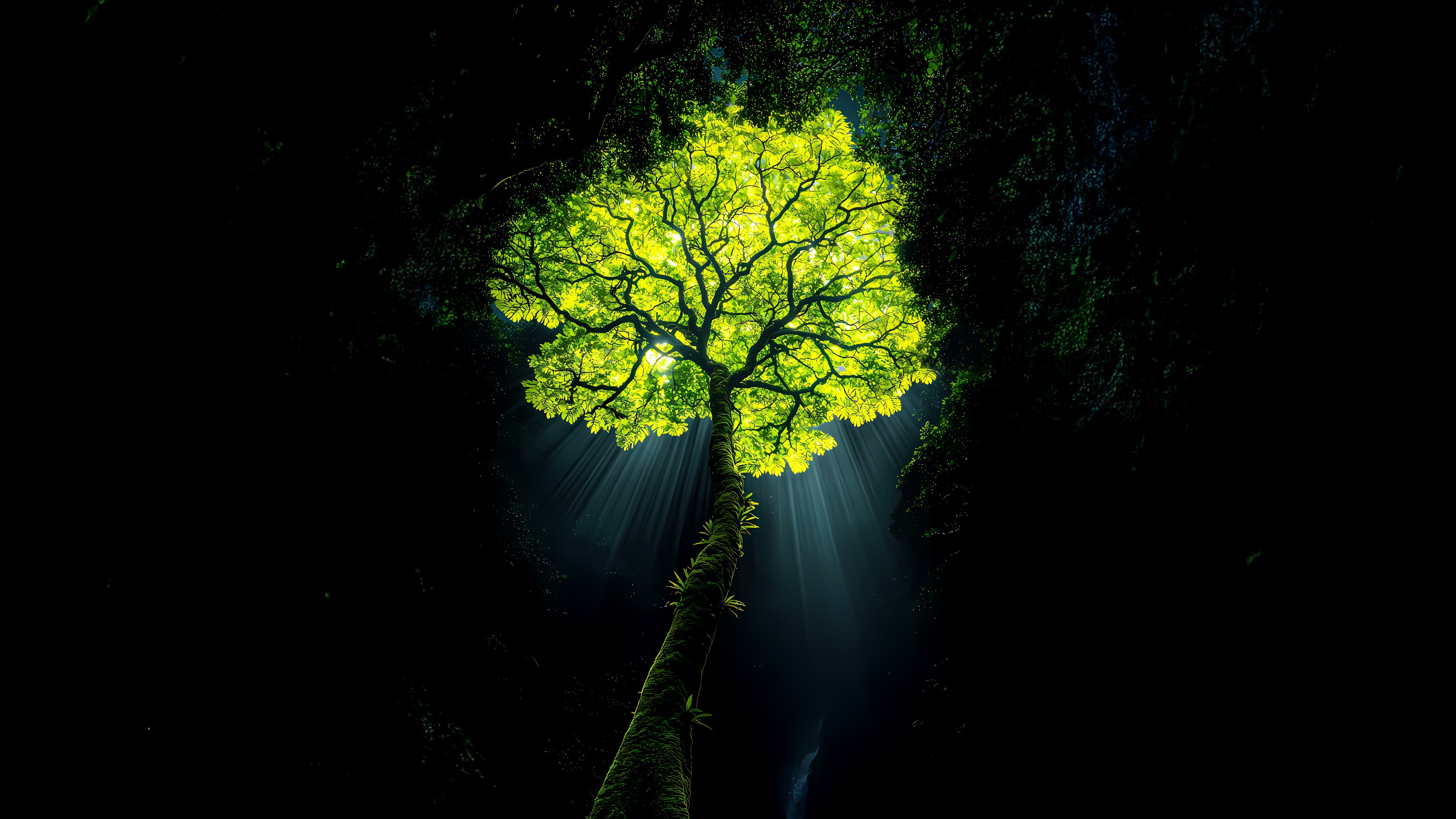 Dramatic sun rays illuminating a dark, lush rainforest with a surreal, moody aesthetic.