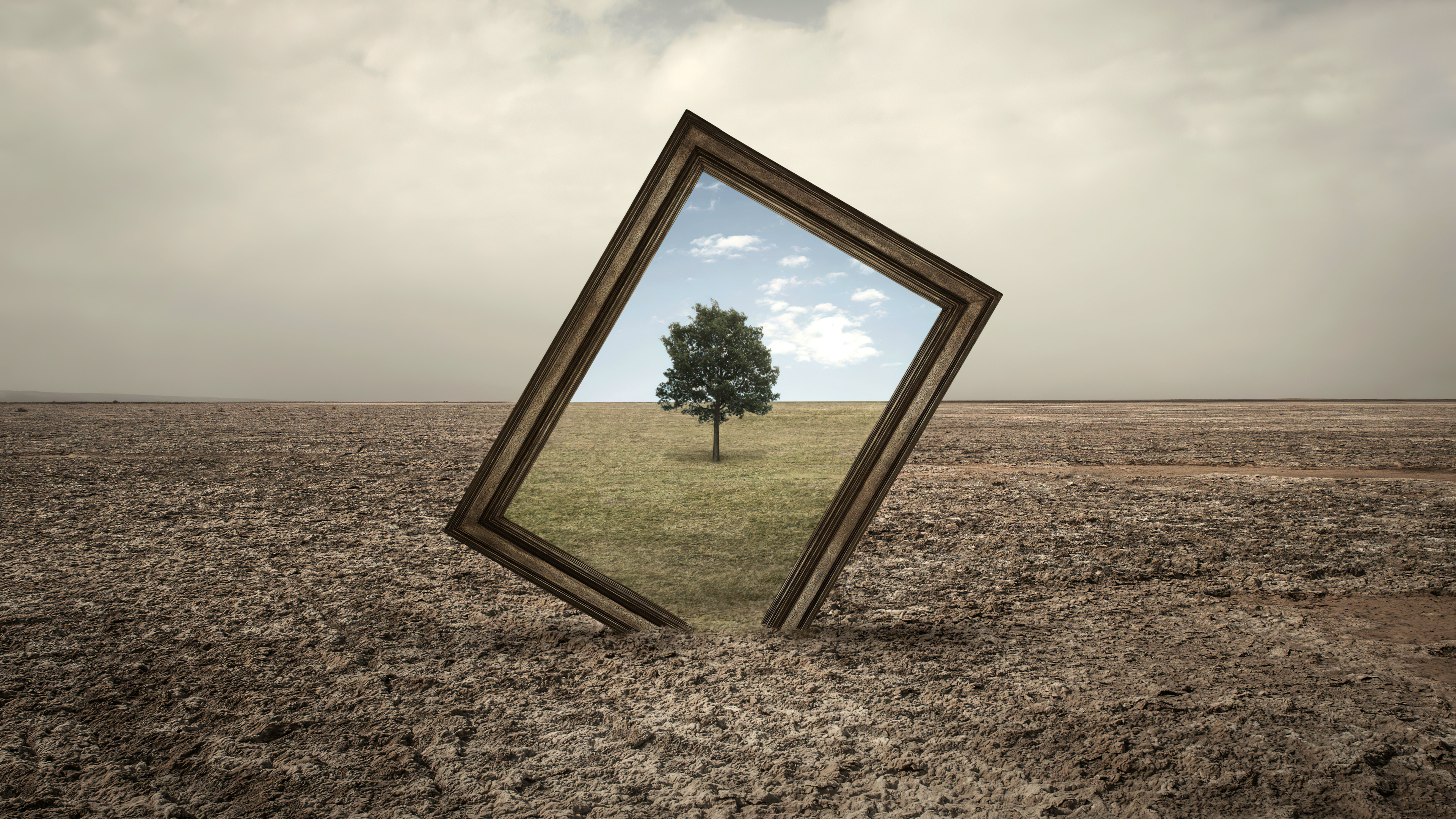 A surreal landscape featuring a single lone tree centered within an ornate, decorative frame under a dreamlike sky.
