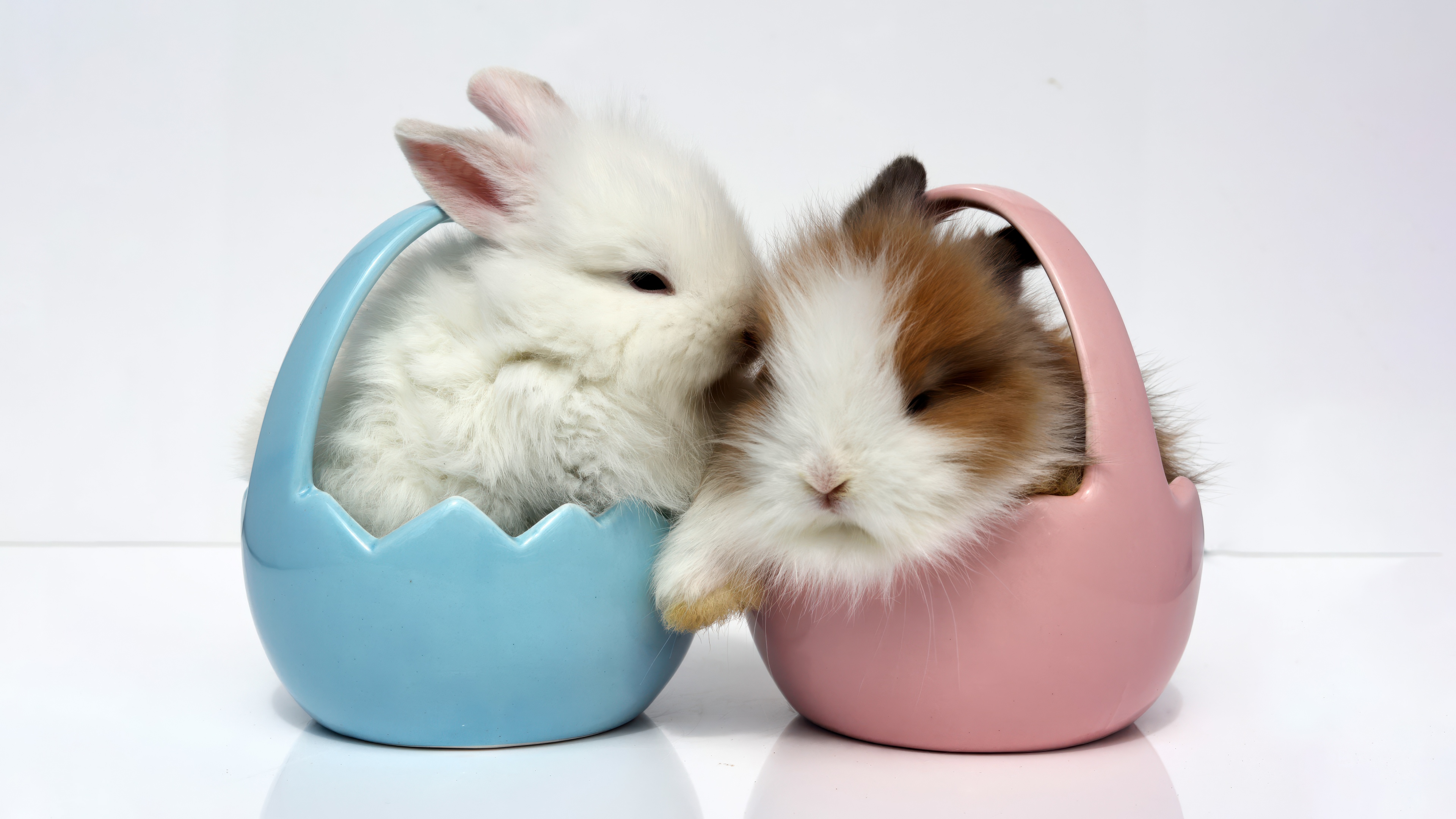 A cute and fluffy white Easter bunny with soft fur against a bright, seasonal background.