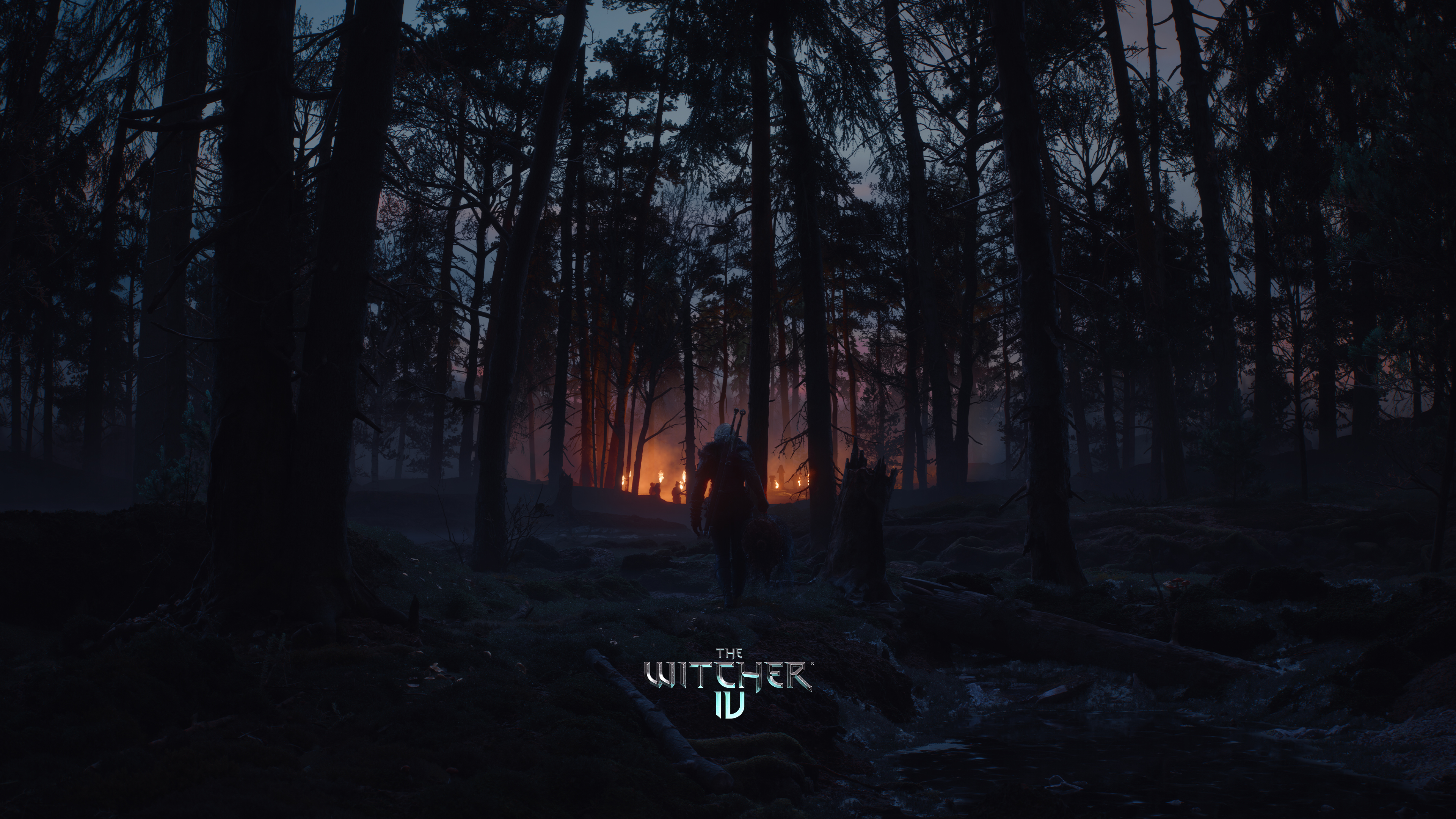 Ciri traversing a dark, atmospheric, and misty forest during gameplay in The Witcher IV.