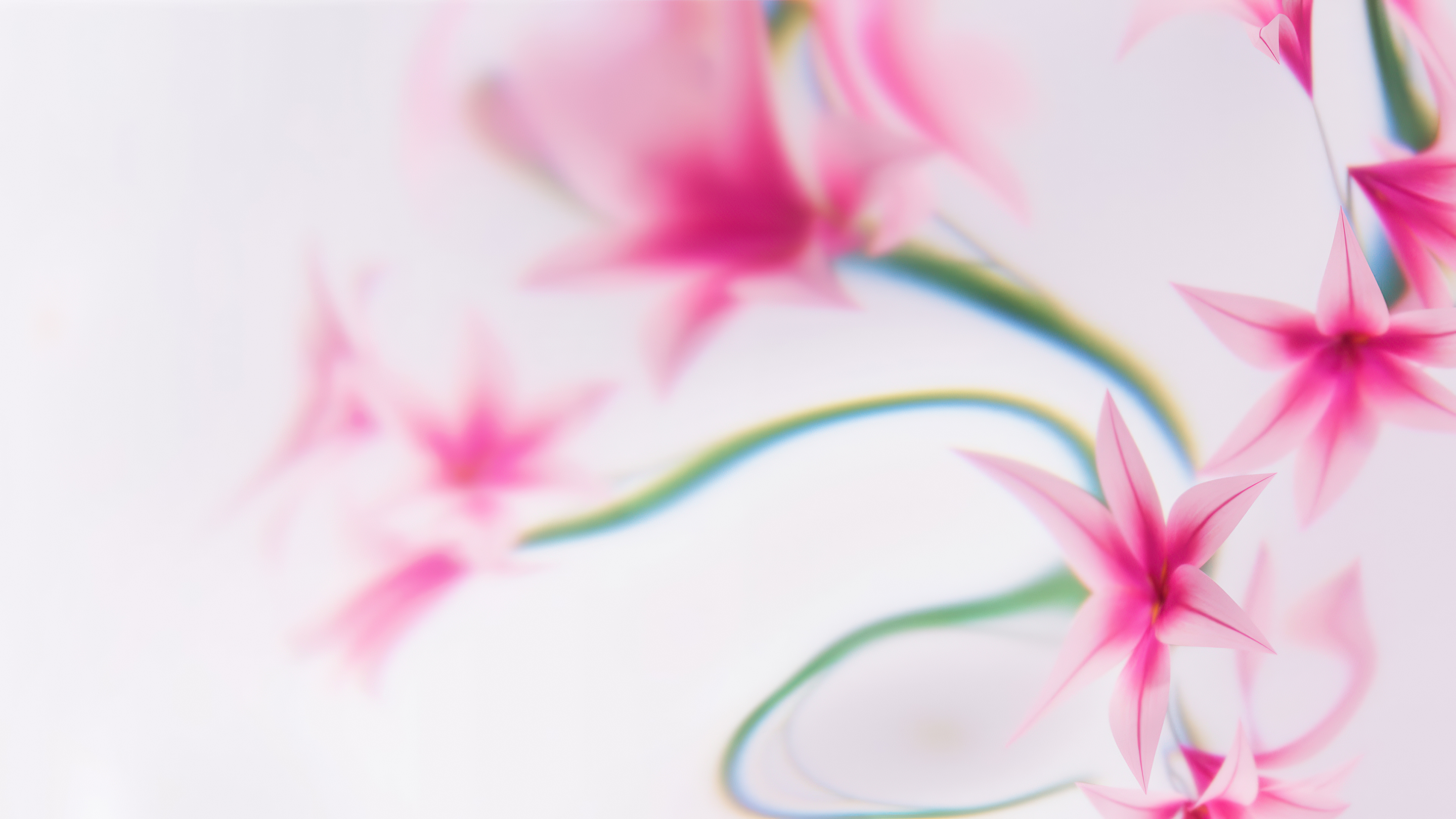 Soft focus pink flowers and delicate floral designs on a clean white background.
