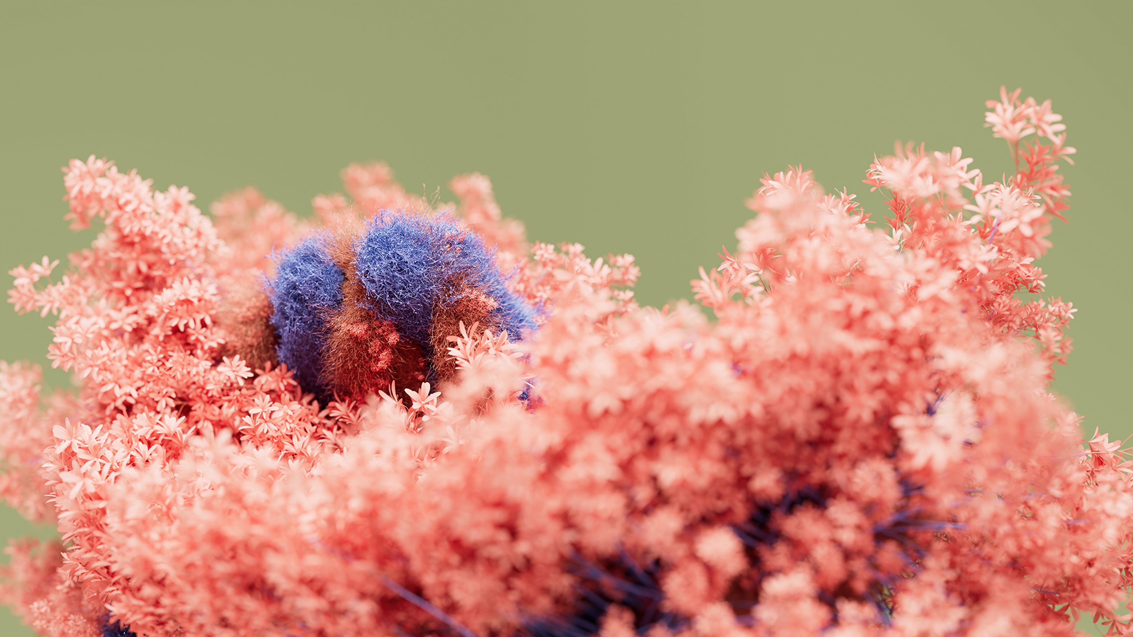 Macro view of a blooming flower with soft focus petals against a blurred green background.