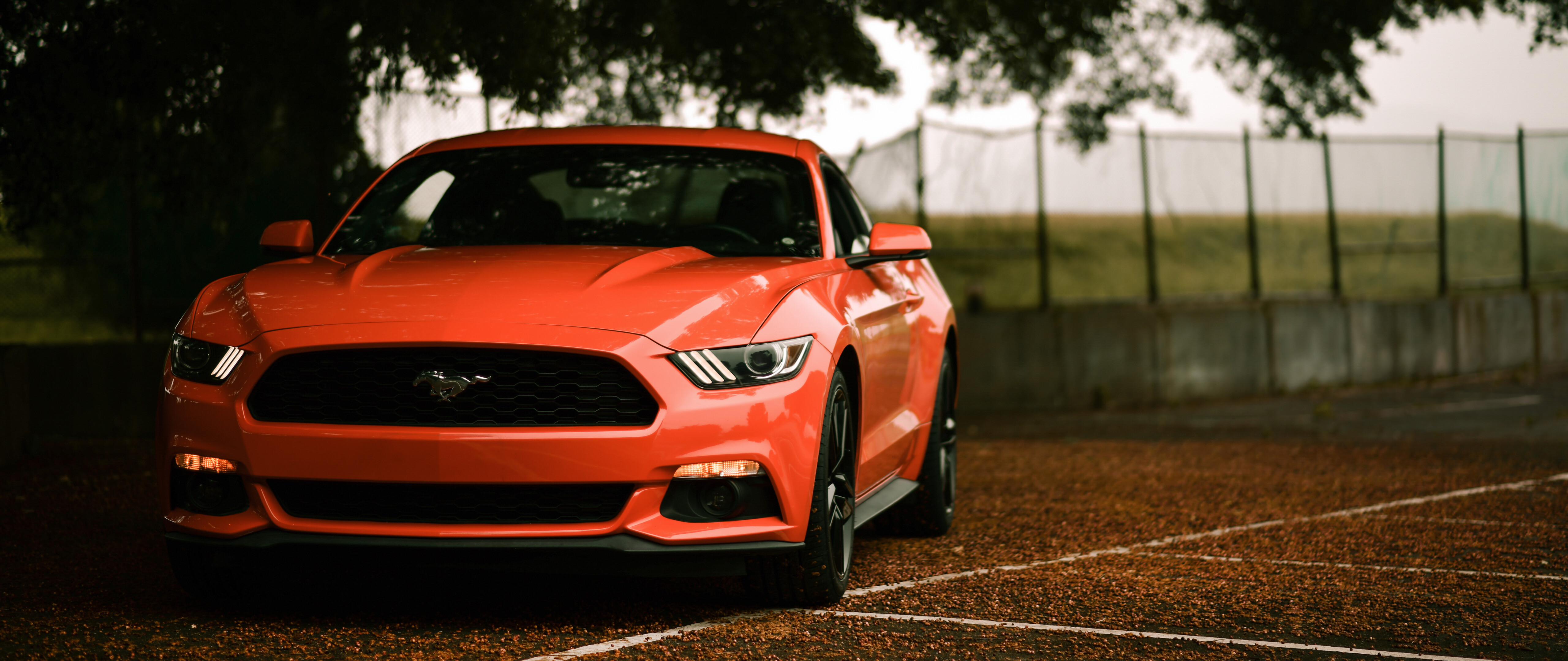 Un’iconica Ford Mustang, un’auto sportiva dal design aggressivo e inconfondibile.