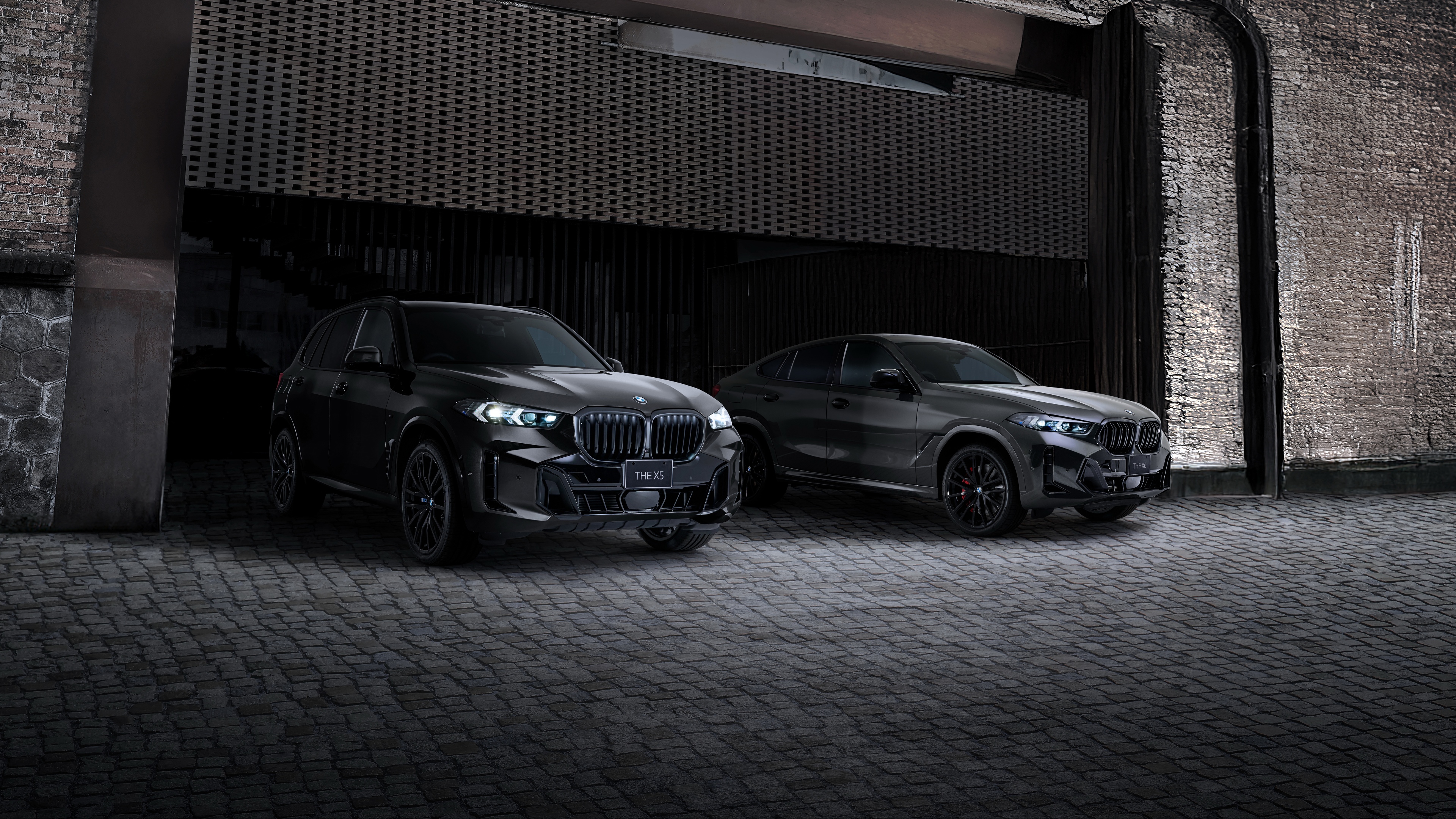 A high-definition view of the 2025 BMW X5 and BMW X6 luxury SUVs featuring sleek modern automotive design.