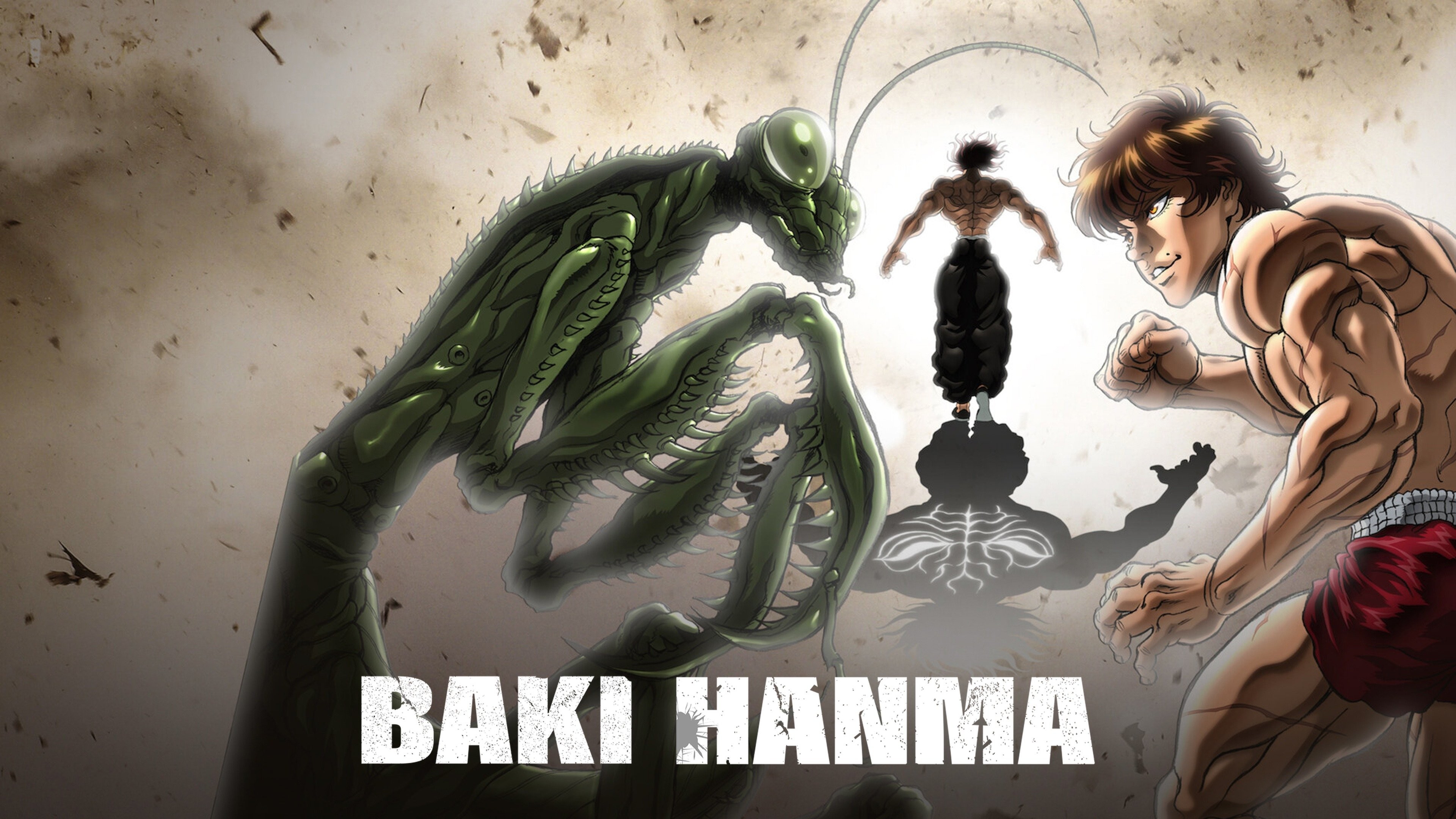 Baki Hanma from the anime series Baki the Grappler