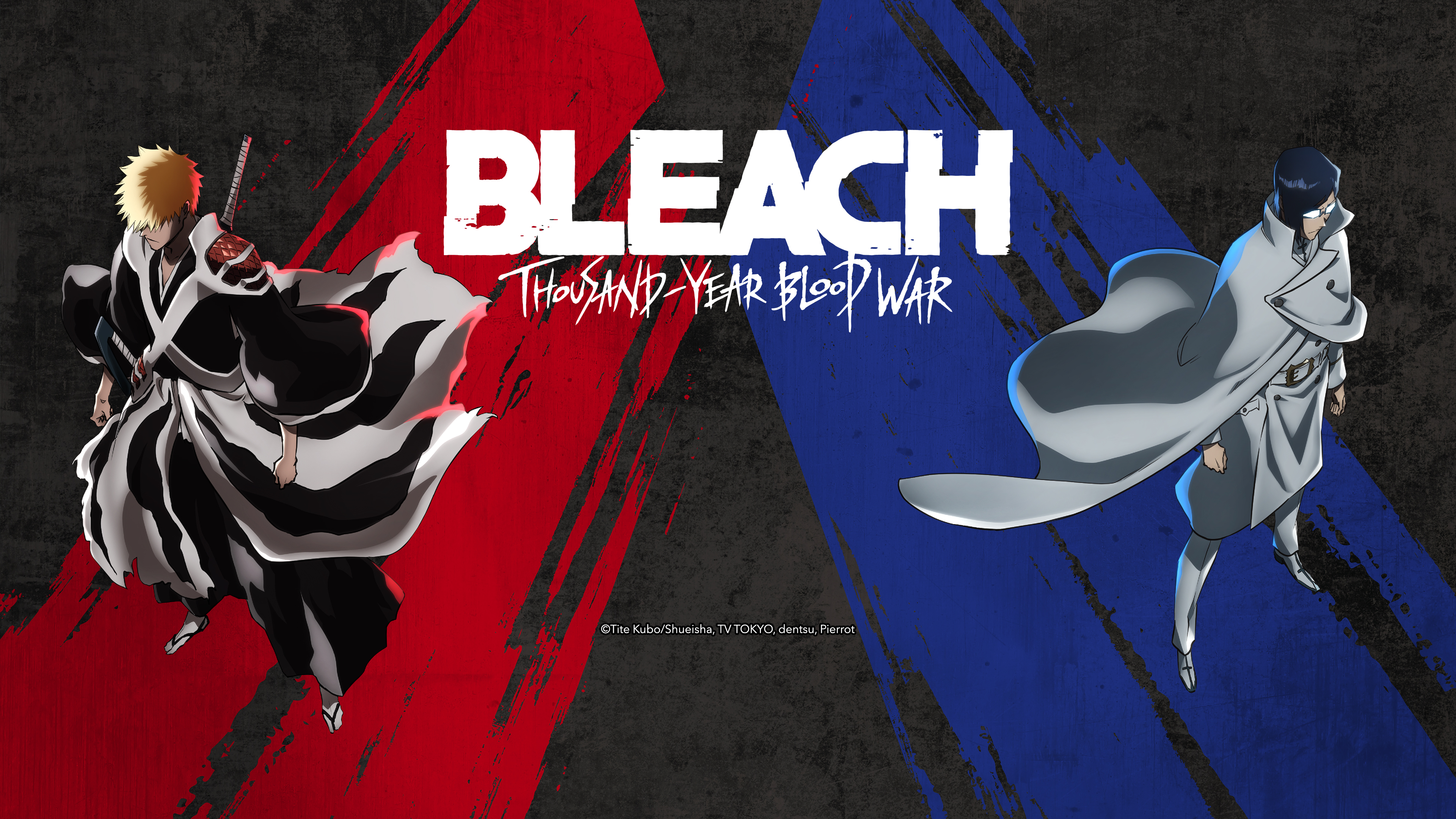 Ichigo Kurosaki and Uryu Ishida from Bleach: Thousand-Year Blood War