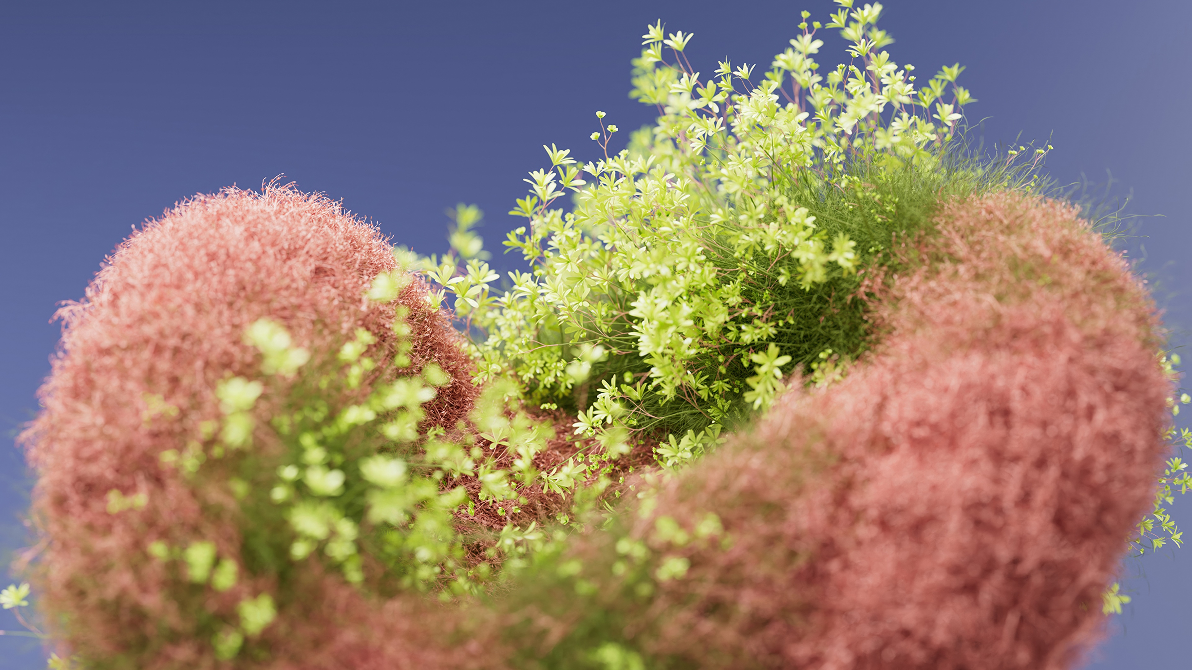 Macro photography of a peach-toned flower with a soft-focus botanical background and bokeh.