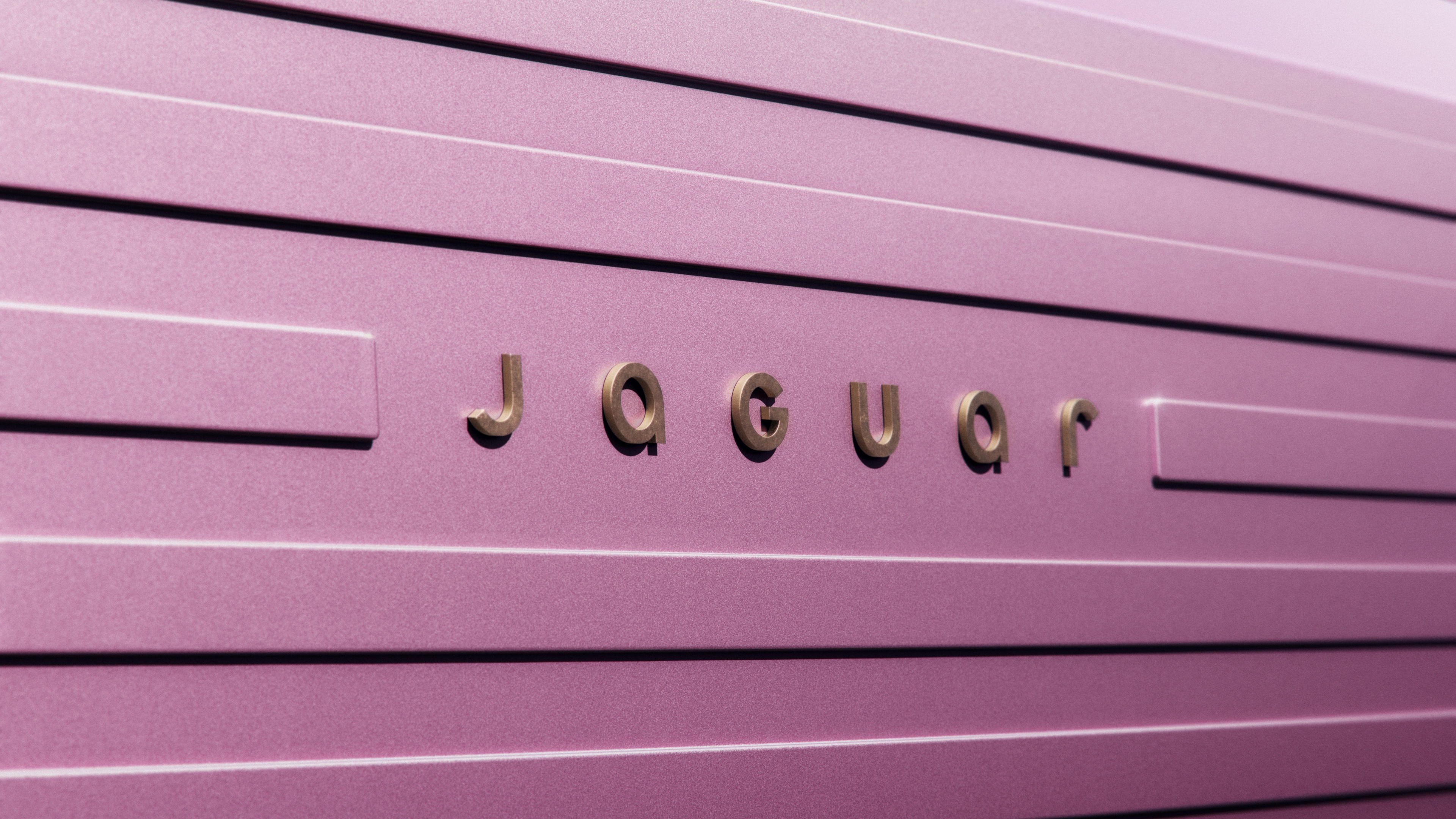 A high-resolution monochromatic pink aesthetic image featuring deep pink tones and a seamless pink background.