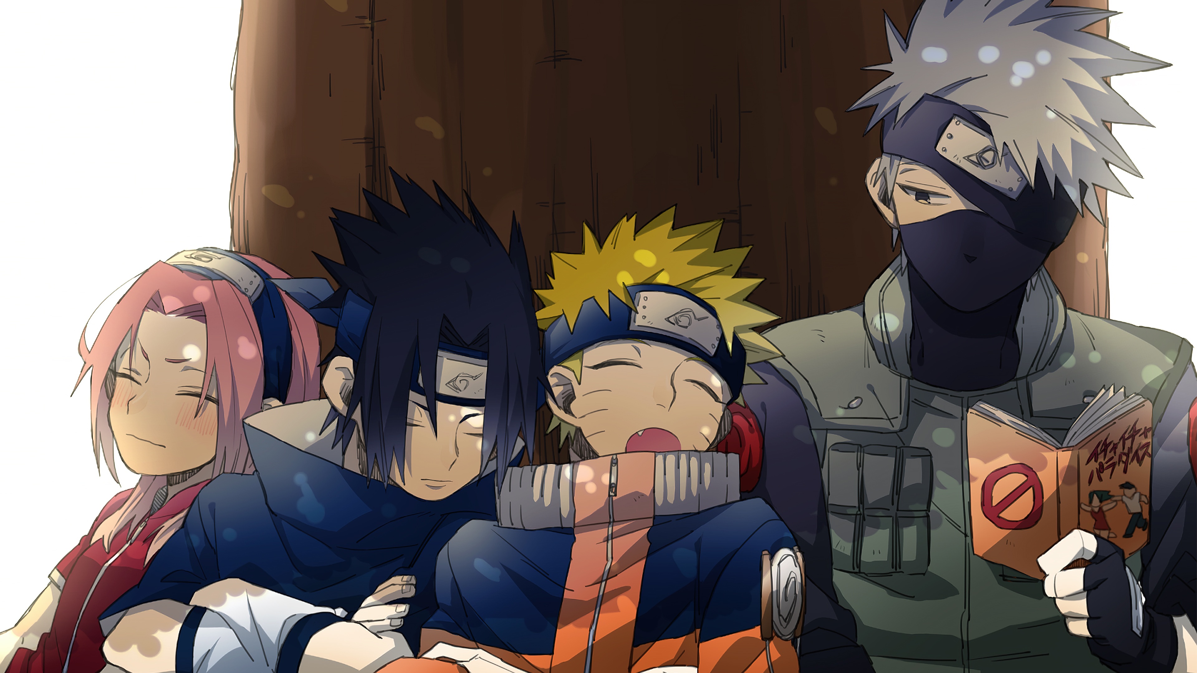 Naruto Uzumaki, Sasuke Uchiha, Sakura Haruno, and Kakashi Hatake from the Naruto anime series.