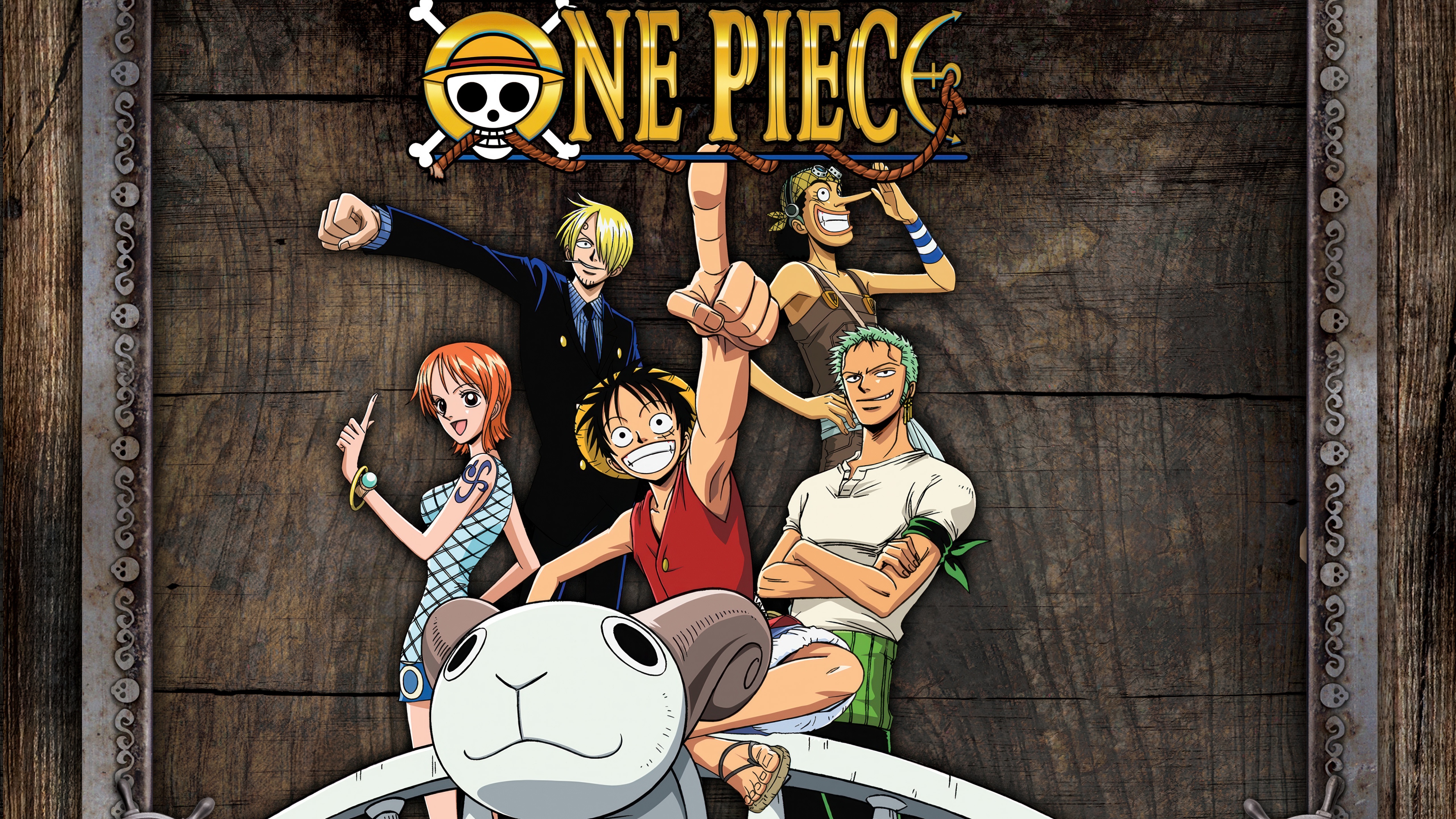 A group shot of Monkey D. Luffy, Roronoa Zoro, Nami, Usopp, and Sanji from the anime One Piece.