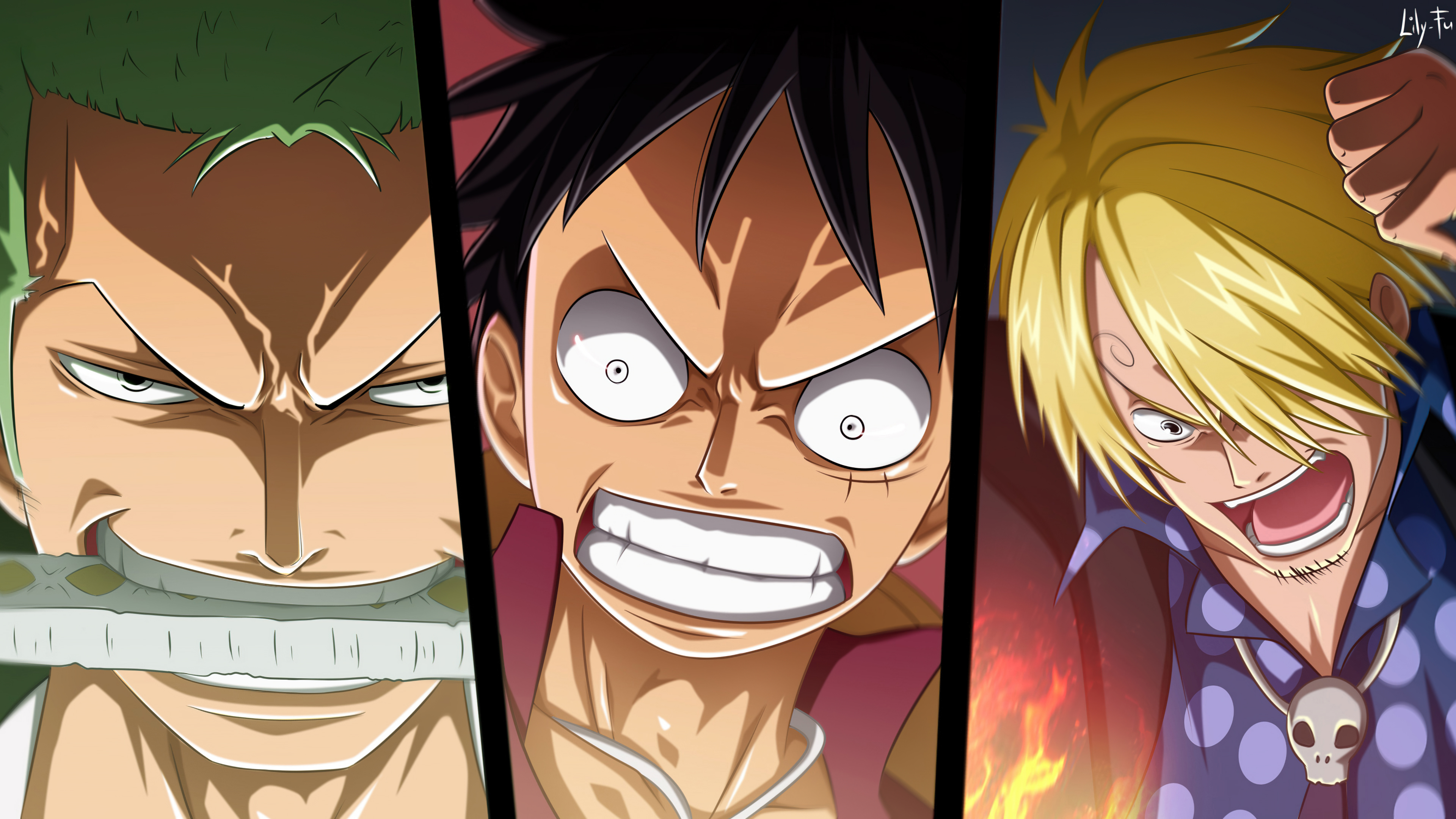 Monkey D. Luffy, Roronoa Zoro, and Sanji from the anime One Piece standing together.