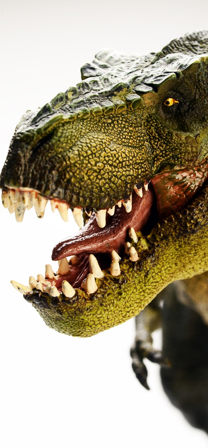 A highly detailed and realistic Tyrannosaurus Rex standing amidst a prehistoric environment.