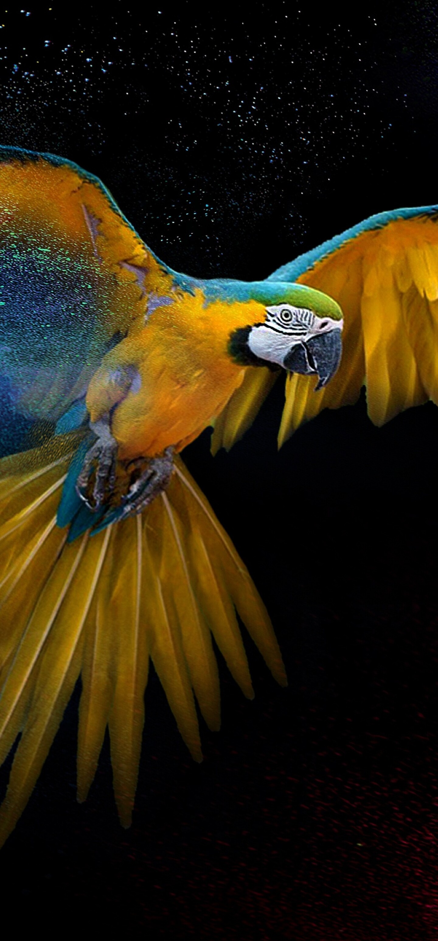 Detailed close-up of a colorful macaw with vibrant feathers and artistic splashes of paint on a black background.