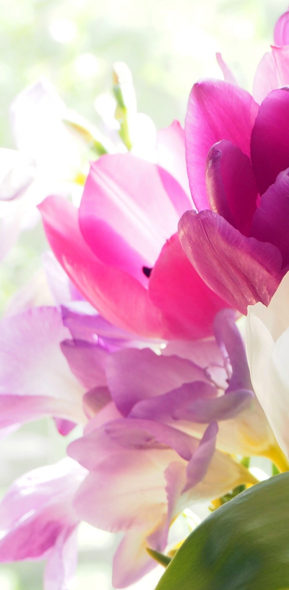 A colorful bouquet of vibrant tulips and crocuses in a close-up view.