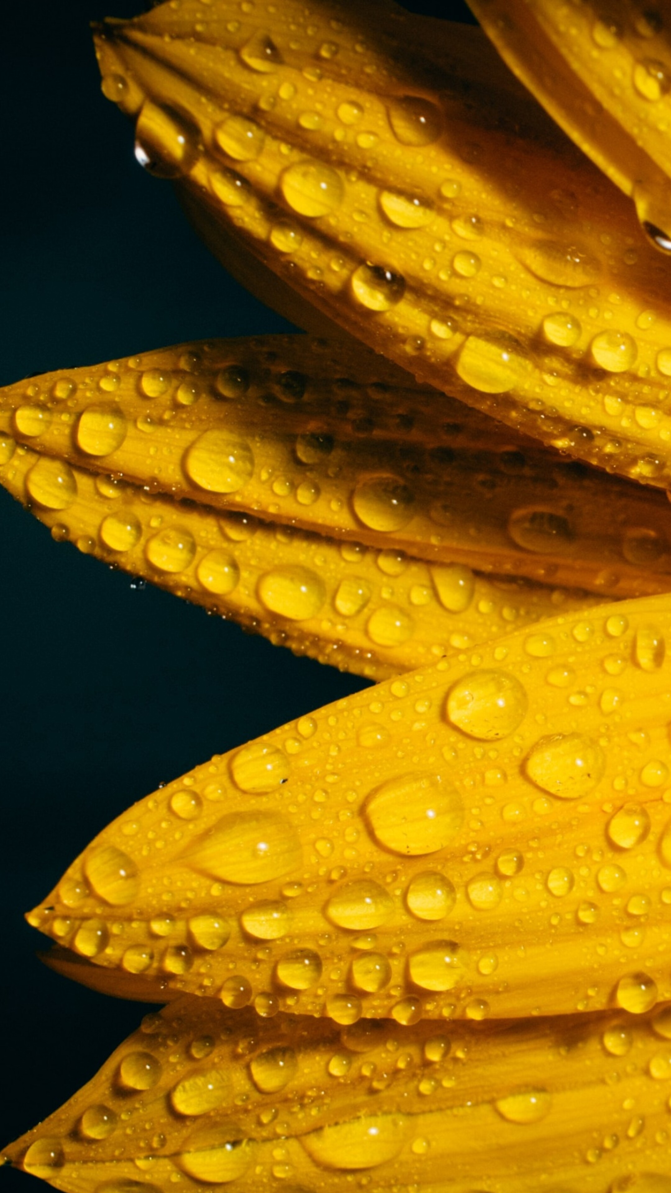 Hintergrundbilder in 4K, 2K und Full HD