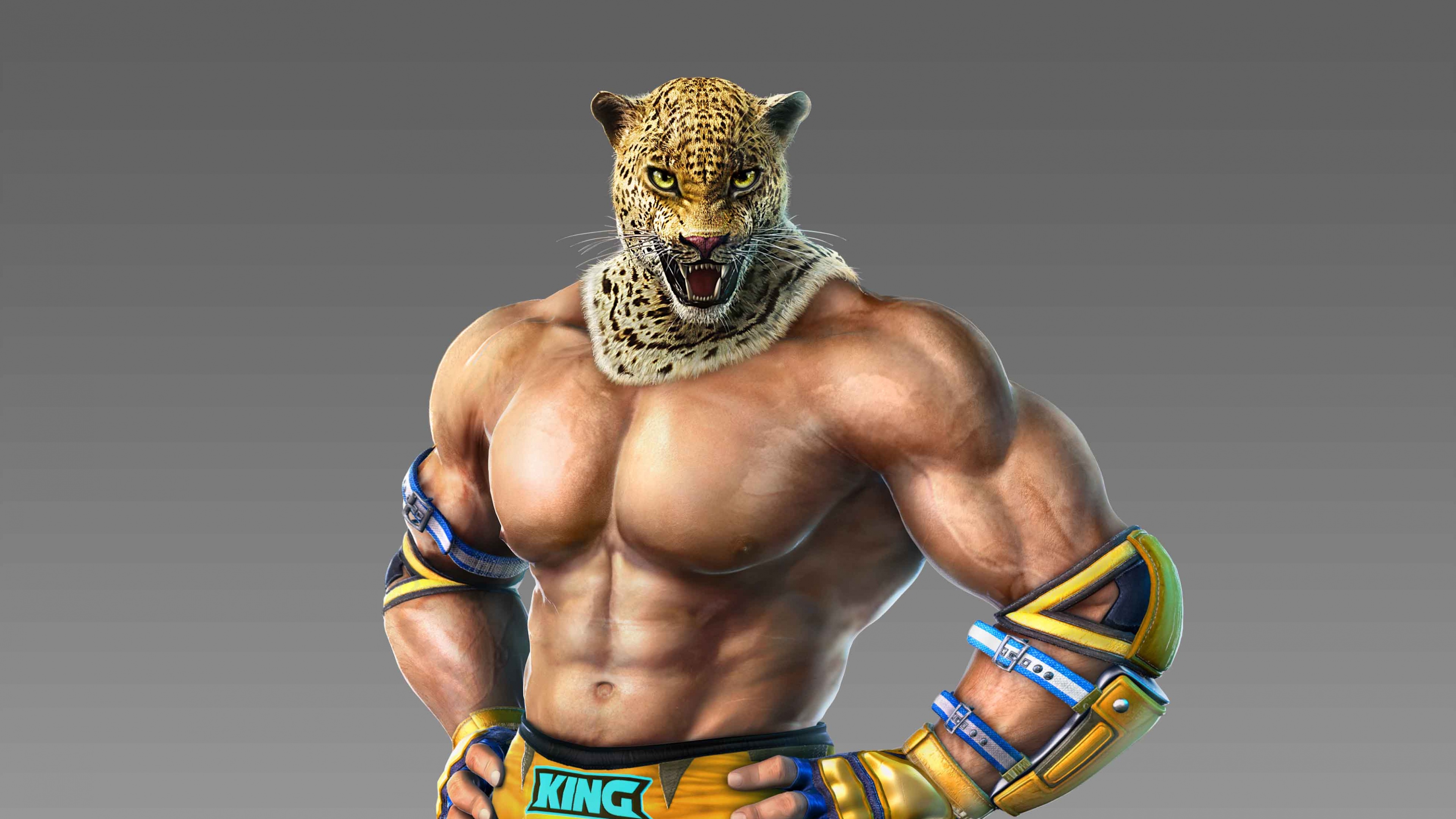 King from the Tekken series wearing his signature jaguar mask and wrestling gear in a commanding pose.