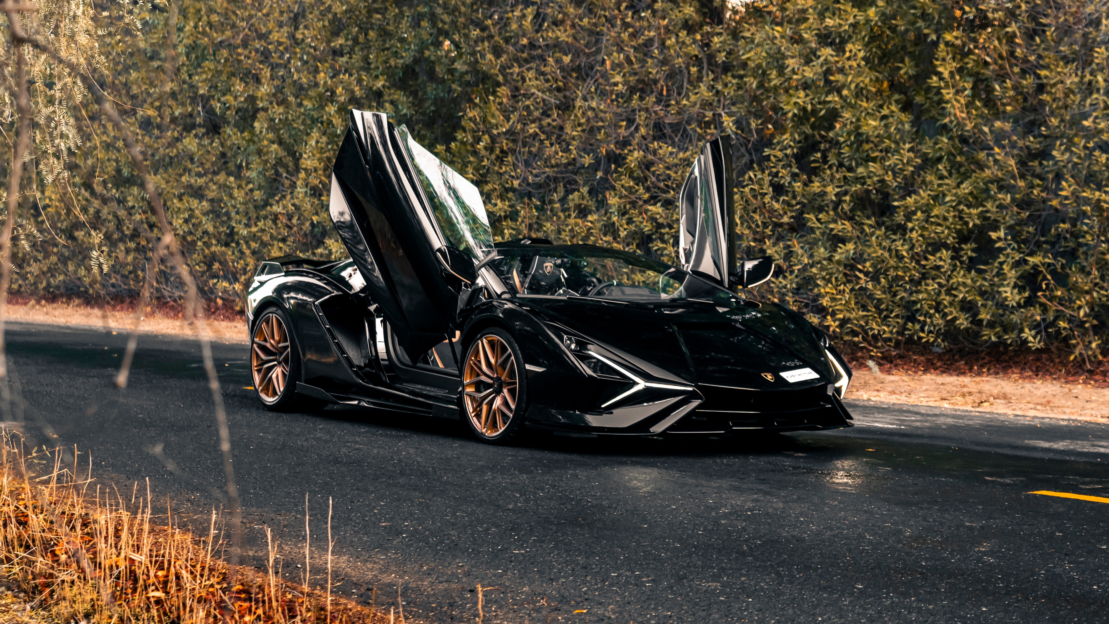 A sleek black Lamborghini Sián Roadster hybrid sports car parked on a dark tarmac road.