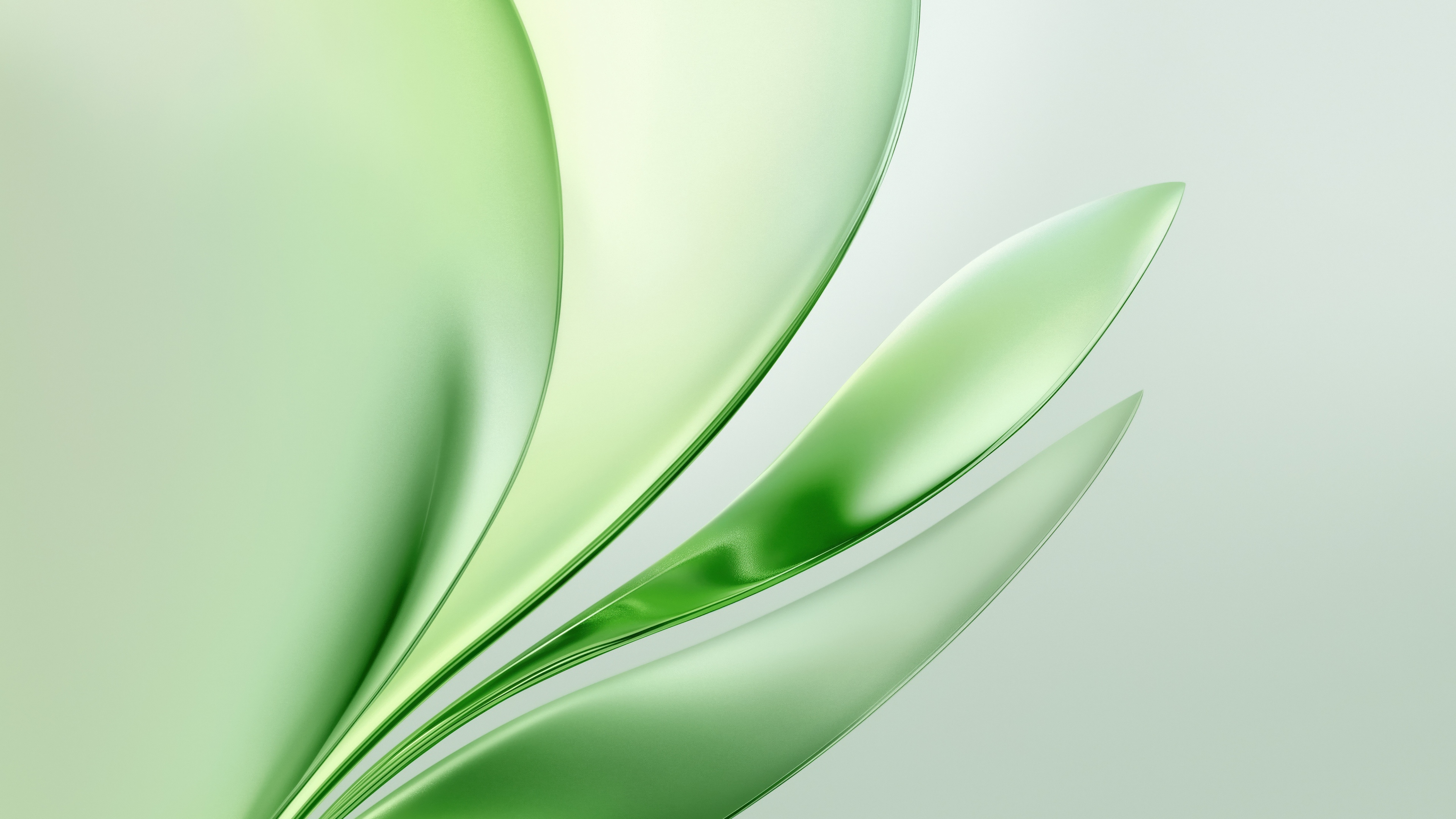 A glossy and modern abstract background featuring flowing green liquid textures and emerald gradients in 5K resolution.