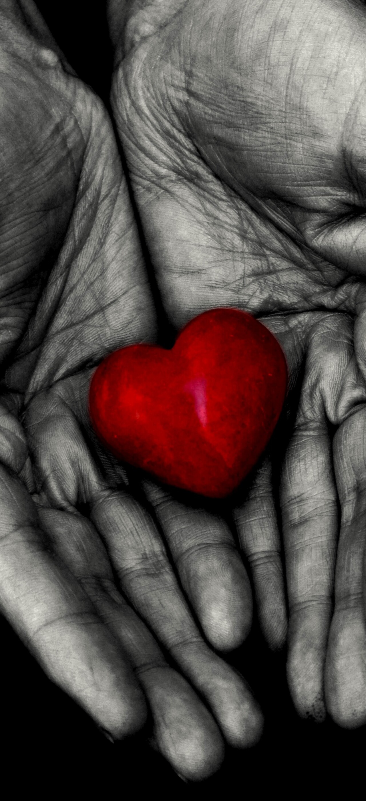 Two hands gently cradling a bright red heart against a solid black background.