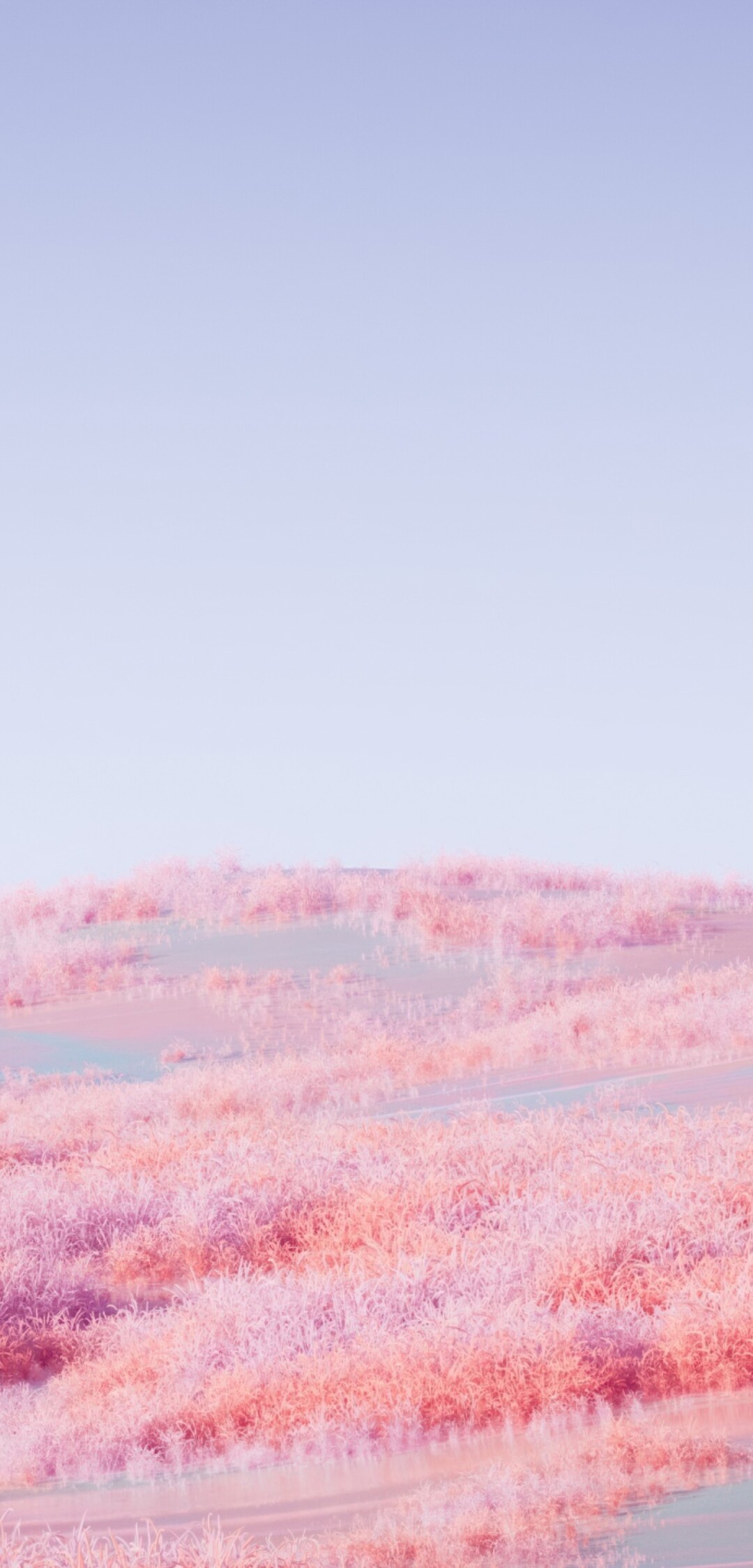 A surreal landscape of rolling hills covered in soft pink grass under a dreamy, ethereal sky.