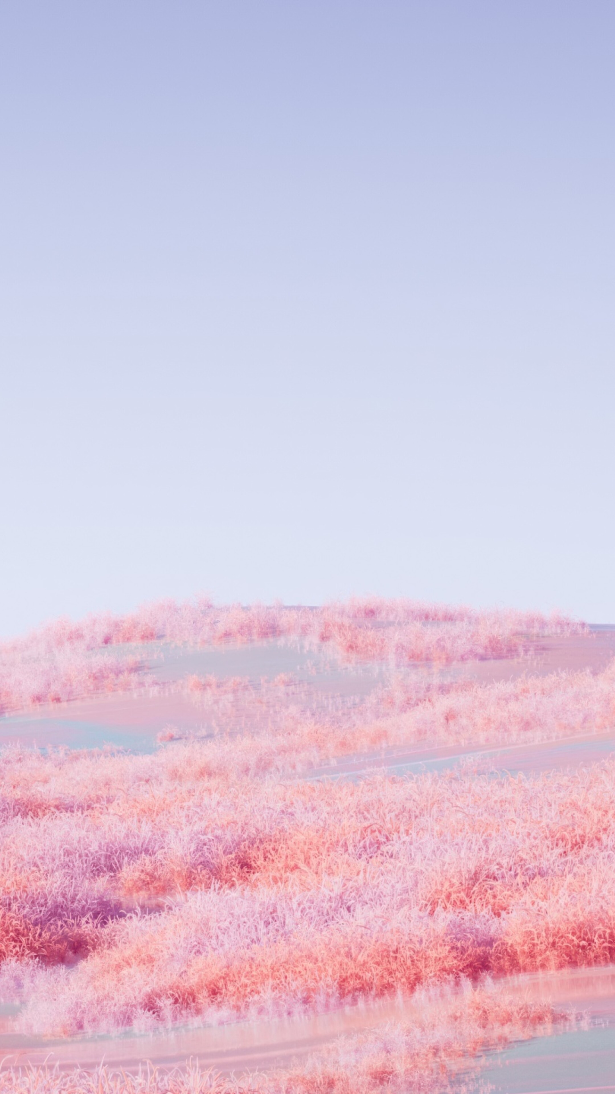 A surreal landscape of rolling hills covered in soft pink grass under a dreamy, ethereal sky.