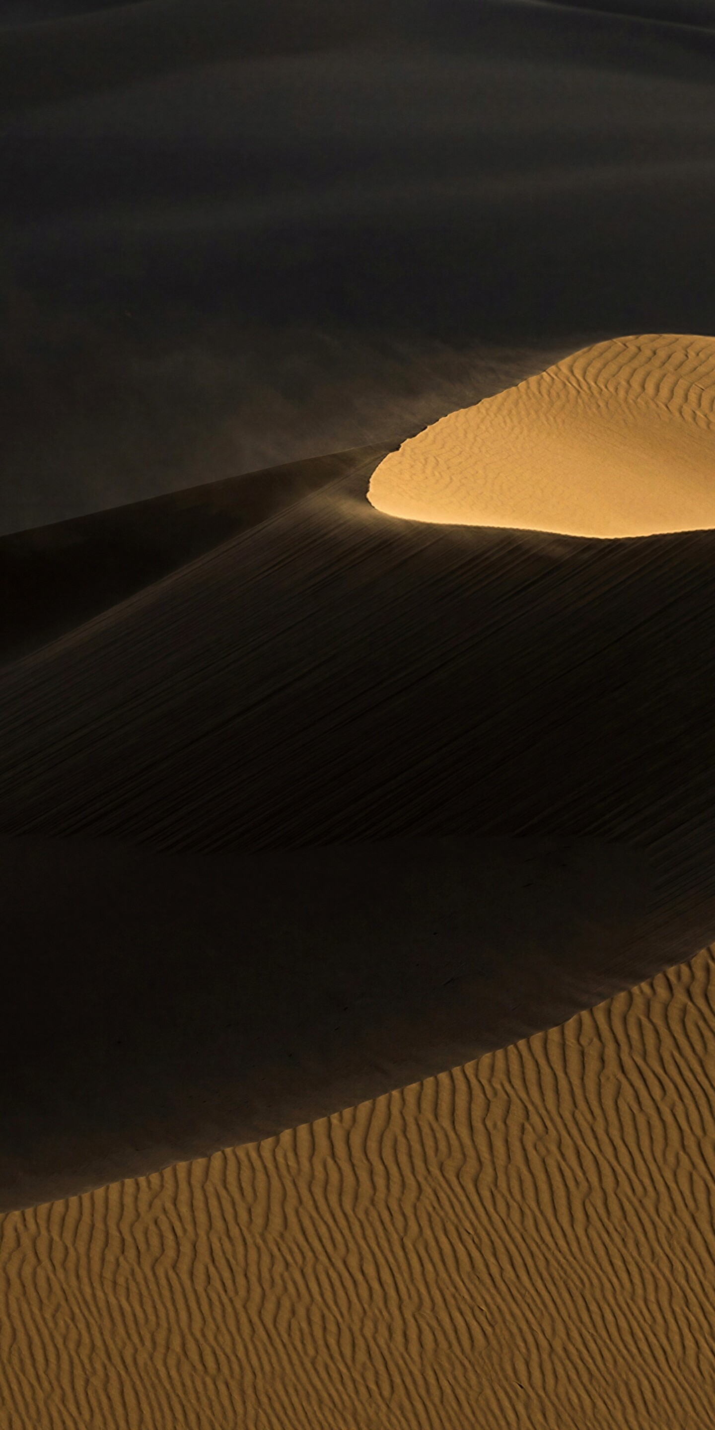 A vast desert landscape with sand dunes and intricate ripples under the warm light of a golden hour sunset.