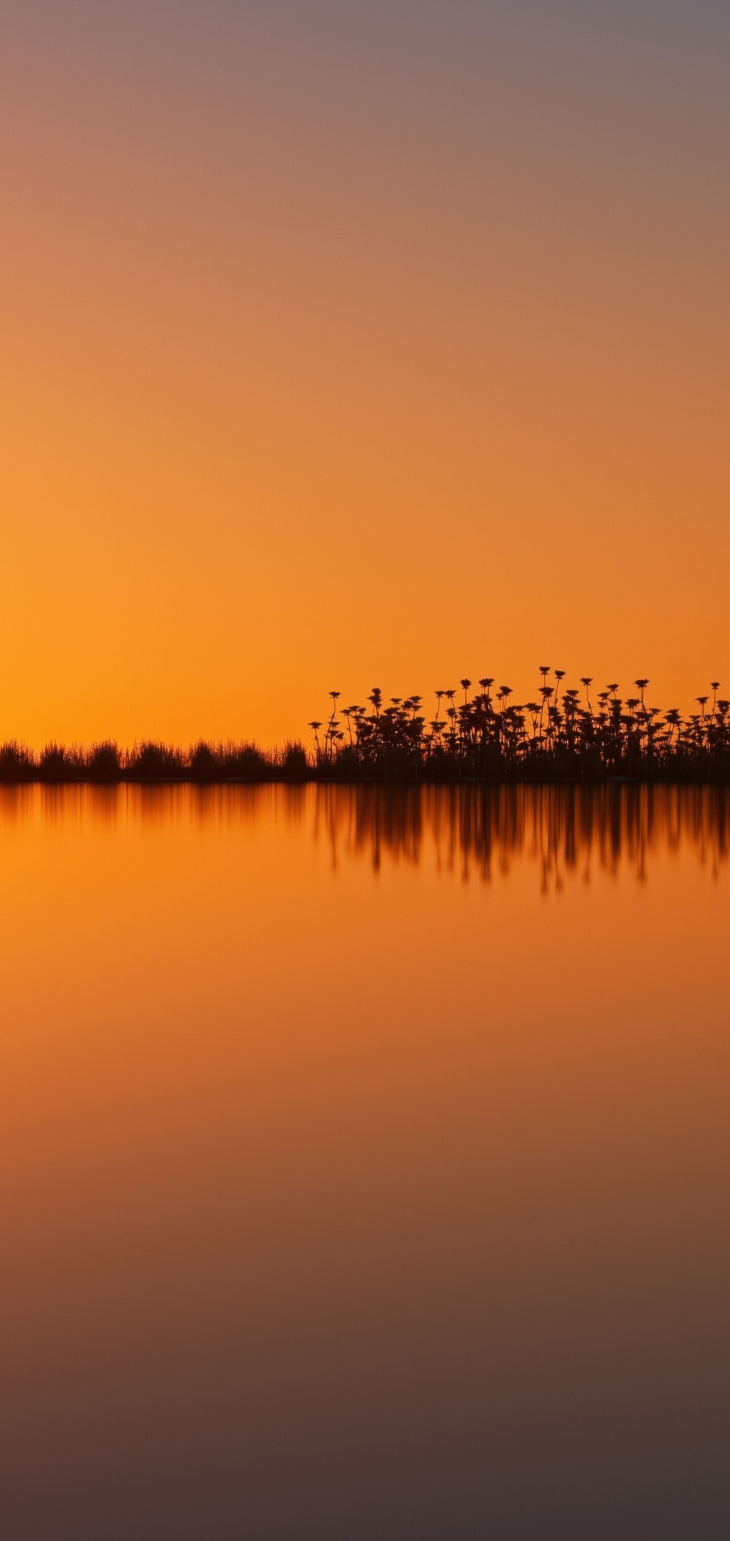 A surreal landscape featuring a vibrant orange sunset sky and silhouetted land reflected in a calm, mirror-like body of water.