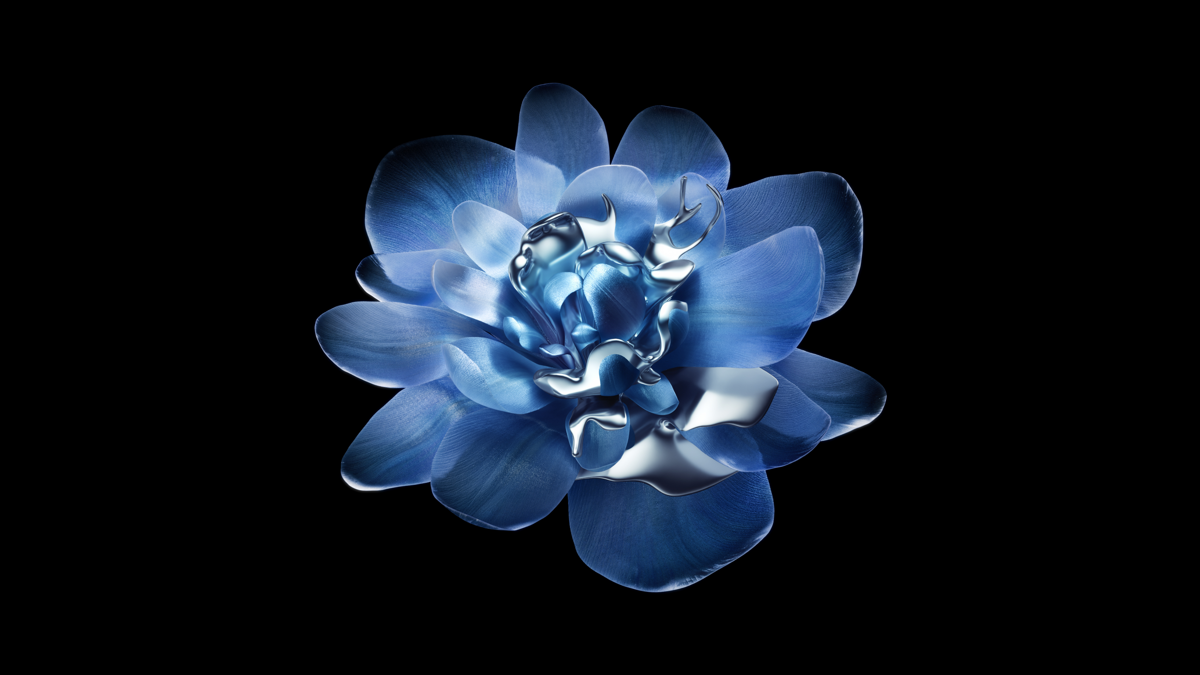 A high-contrast macro shot of an abstract metallic flower with reflective, shimmering petals on a solid black background.