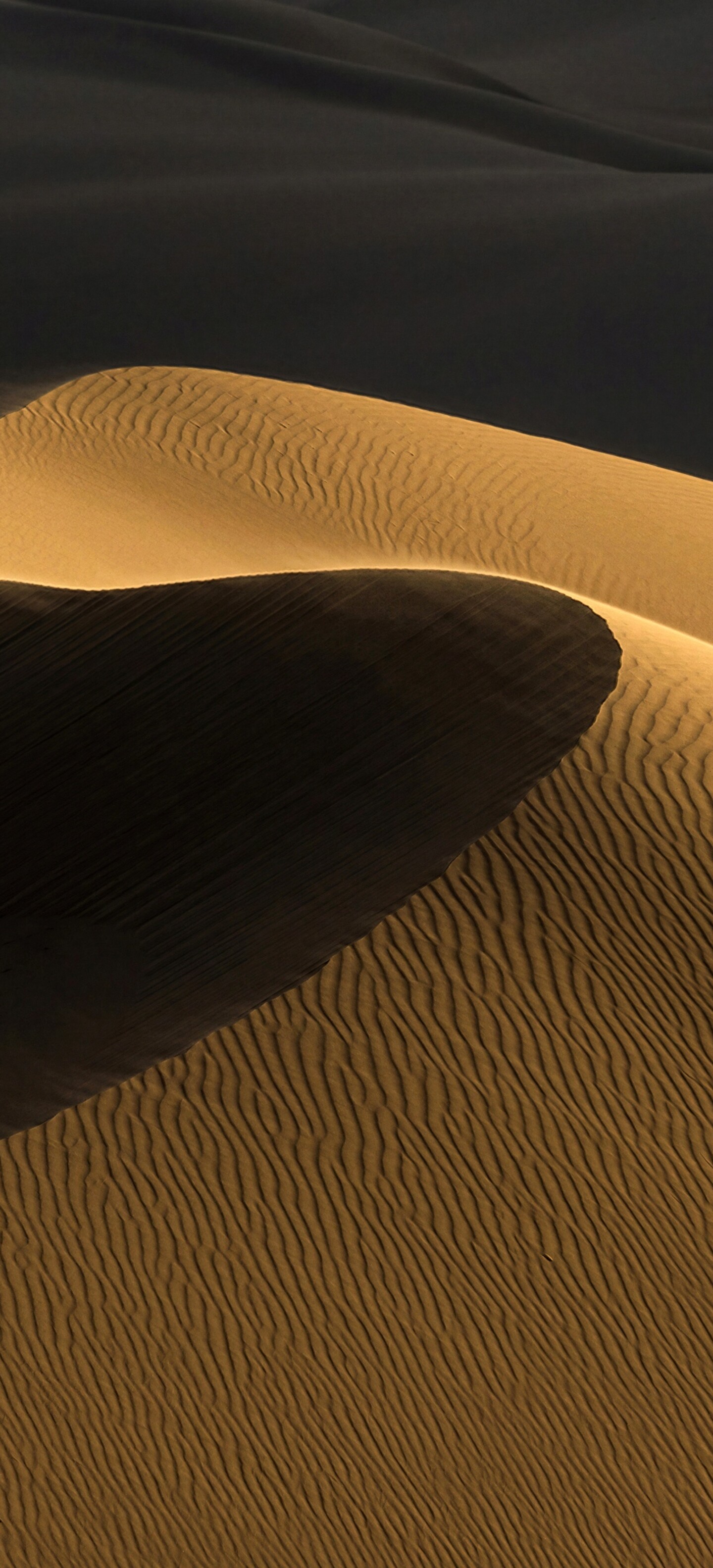 A vast desert landscape featuring rippled sand textures under the warm light of a golden hour sun.