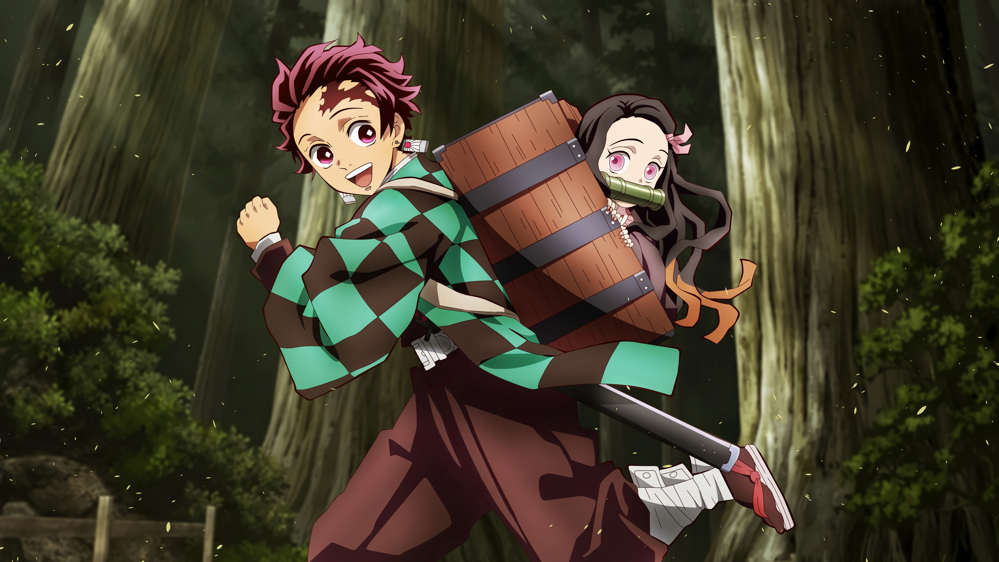 Tanjiro Kamado and Nezuko Kamado from the anime series Demon Slayer: Kimetsu no Yaiba.