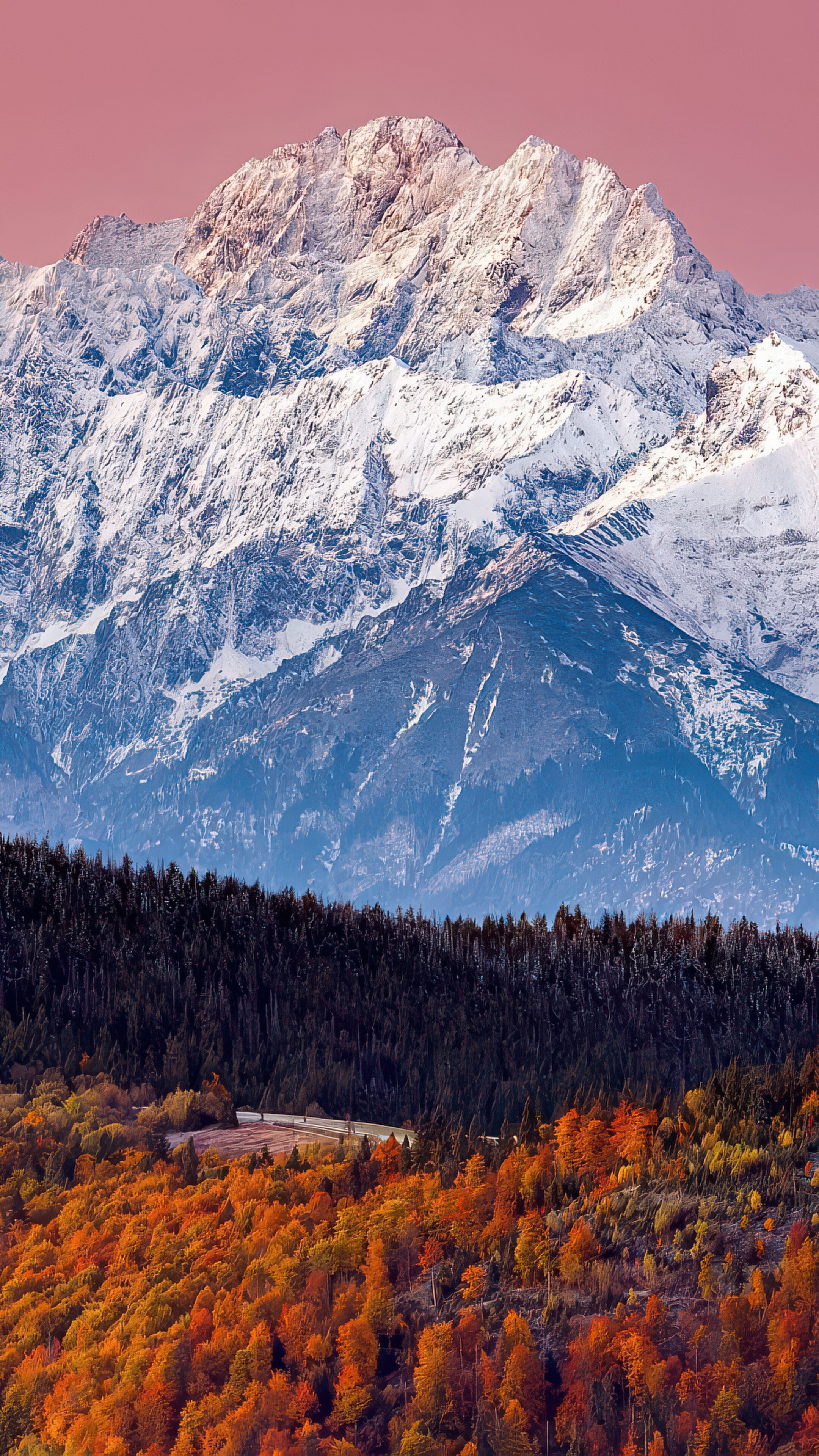 A scenic view of the snow-covered Tatra Mountains and an autumn forest under a pink sunset sky.