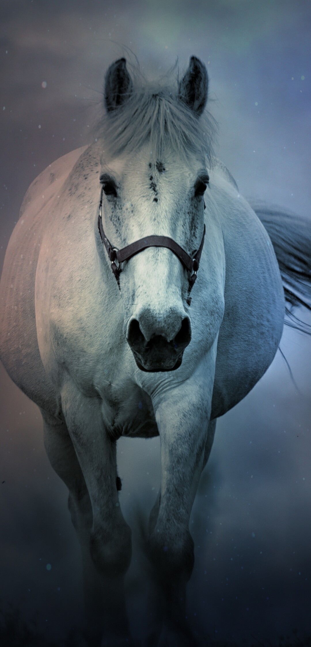 A highly detailed close-up of a white horse with a flowing mane set against a pitch-black background.