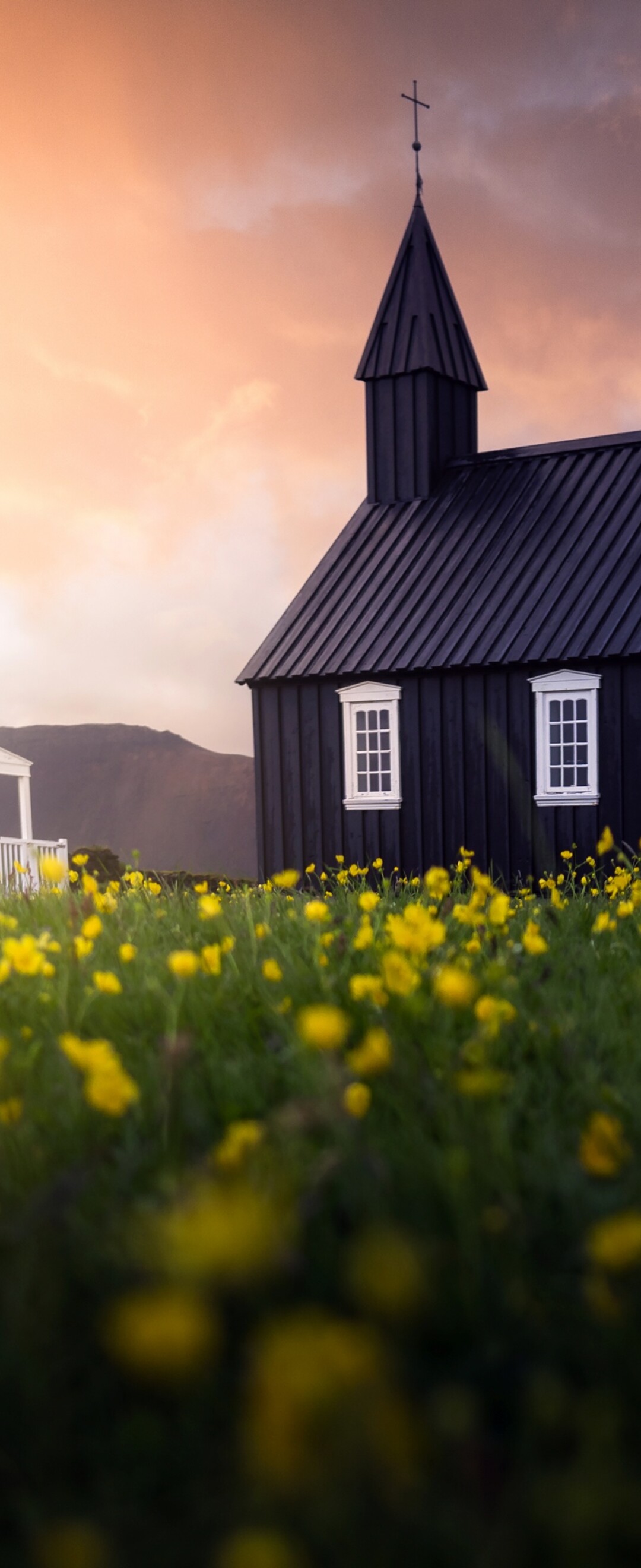 A scenic view of a lush Icelandic meadow at sunset, with golden light illuminating the landscape and creating a sense of peaceful isolation.