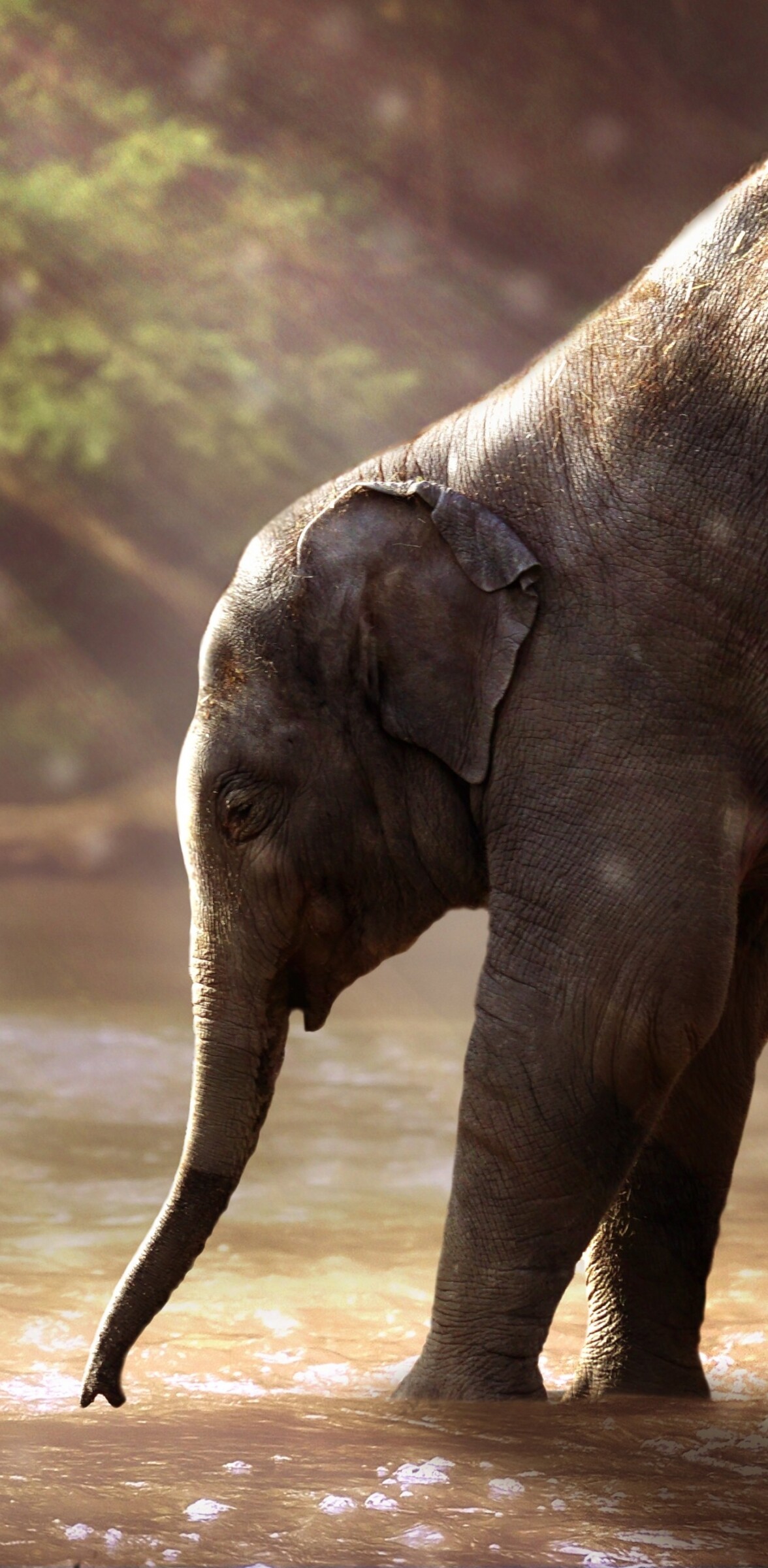 A young elephant cub standing near smooth rocks by a flowing river under bright sun rays.