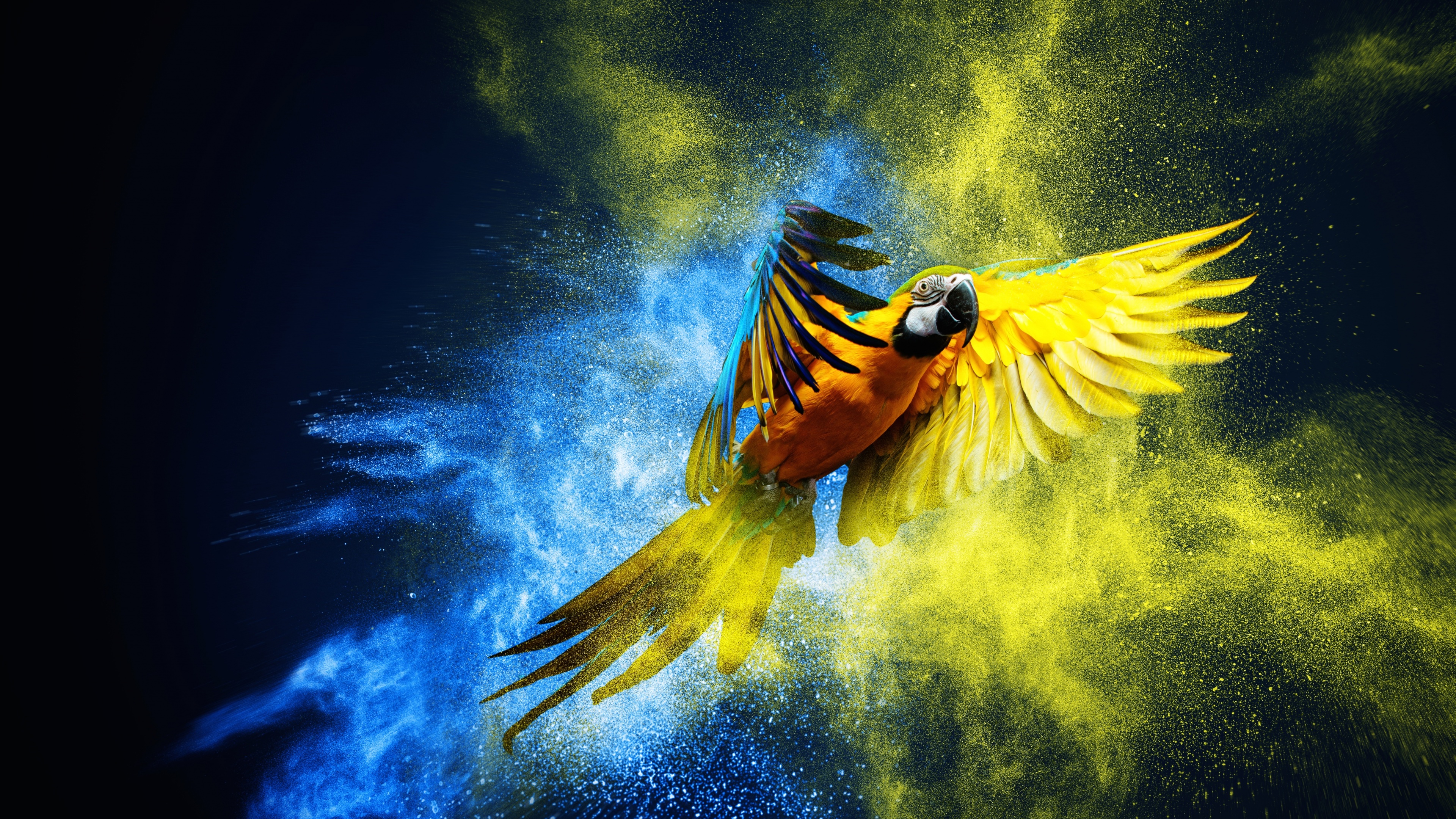 A beautiful Blue-and-yellow macaw with bright blue and yellow feathers against a colorful, exploding background of vibrant hues.
